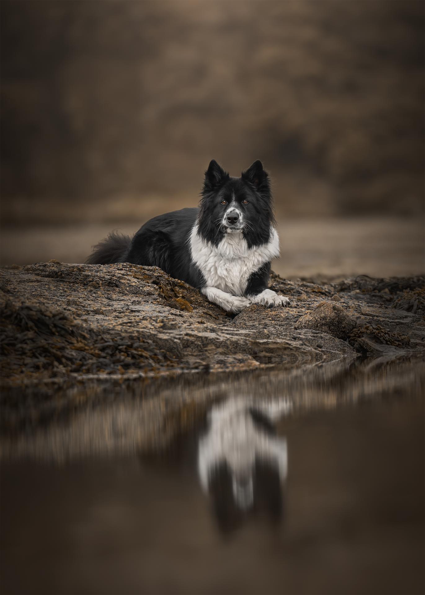 European Photography Awards Winner - Tranquil Reflection