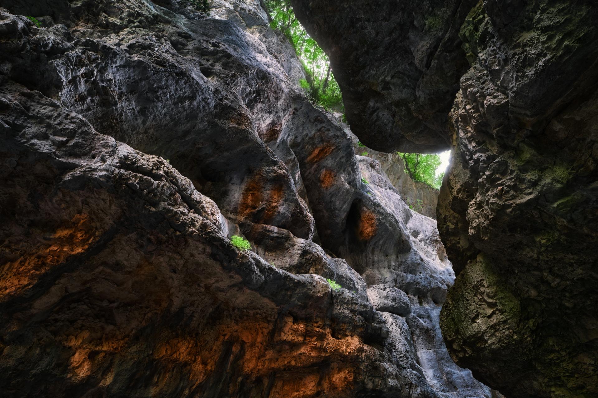 European Photography Awards Winner - Umbrian Wilderness