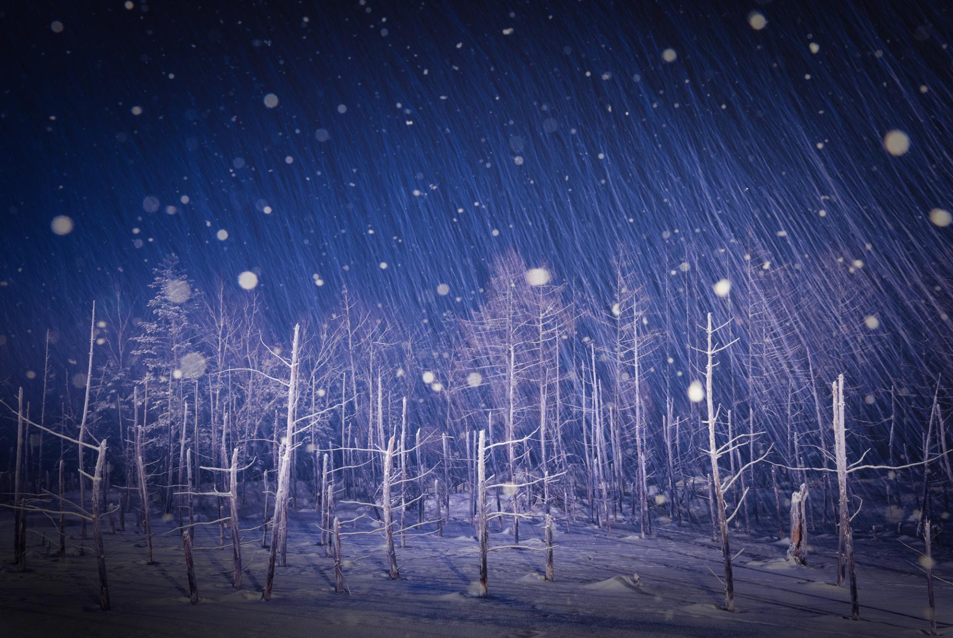 European Photography Awards Winner - Dreamy winter