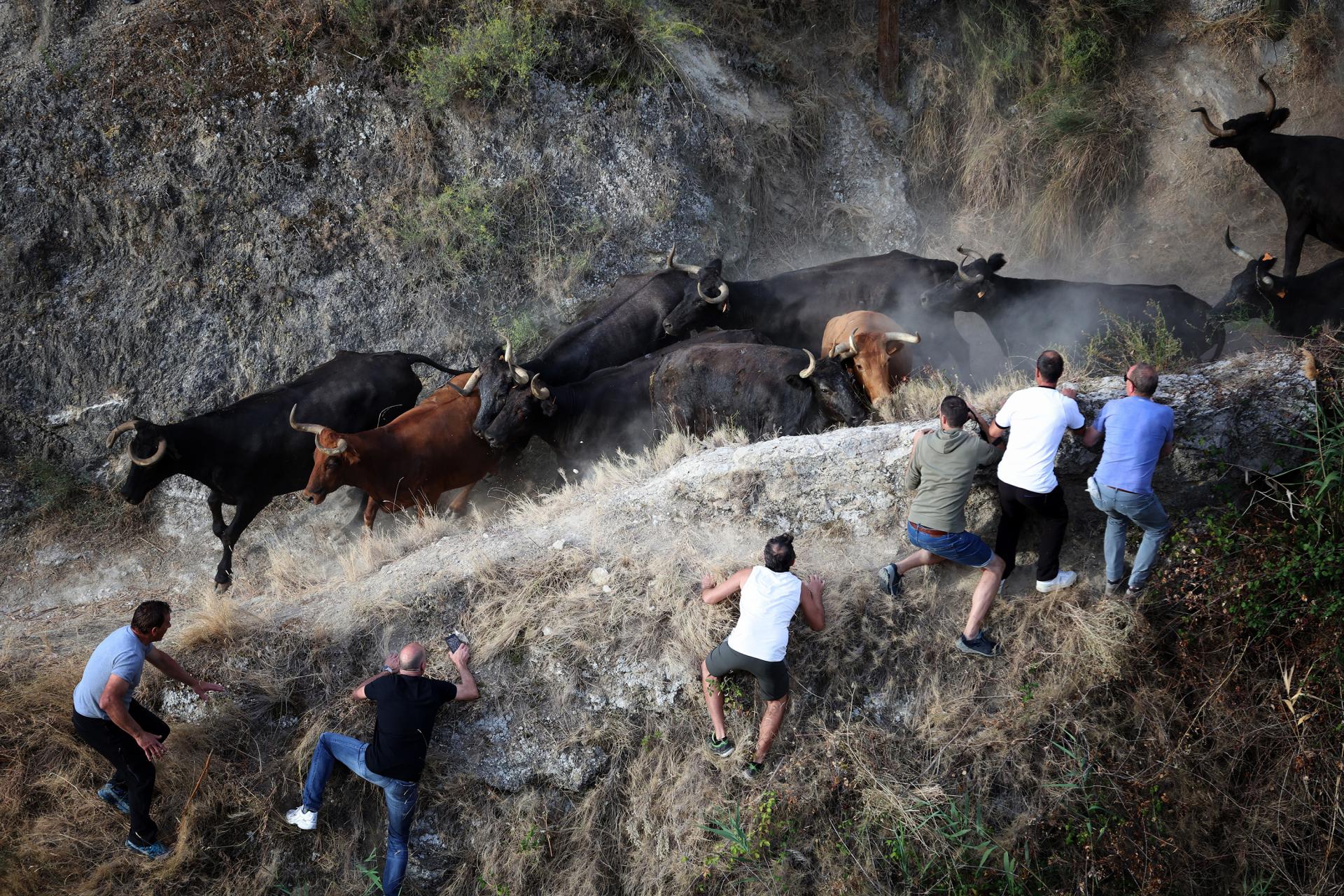 European Photography Awards Winner - El Pilón