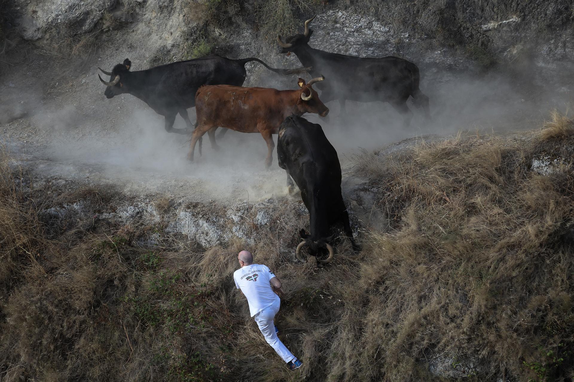 European Photography Awards Winner - El Pilón