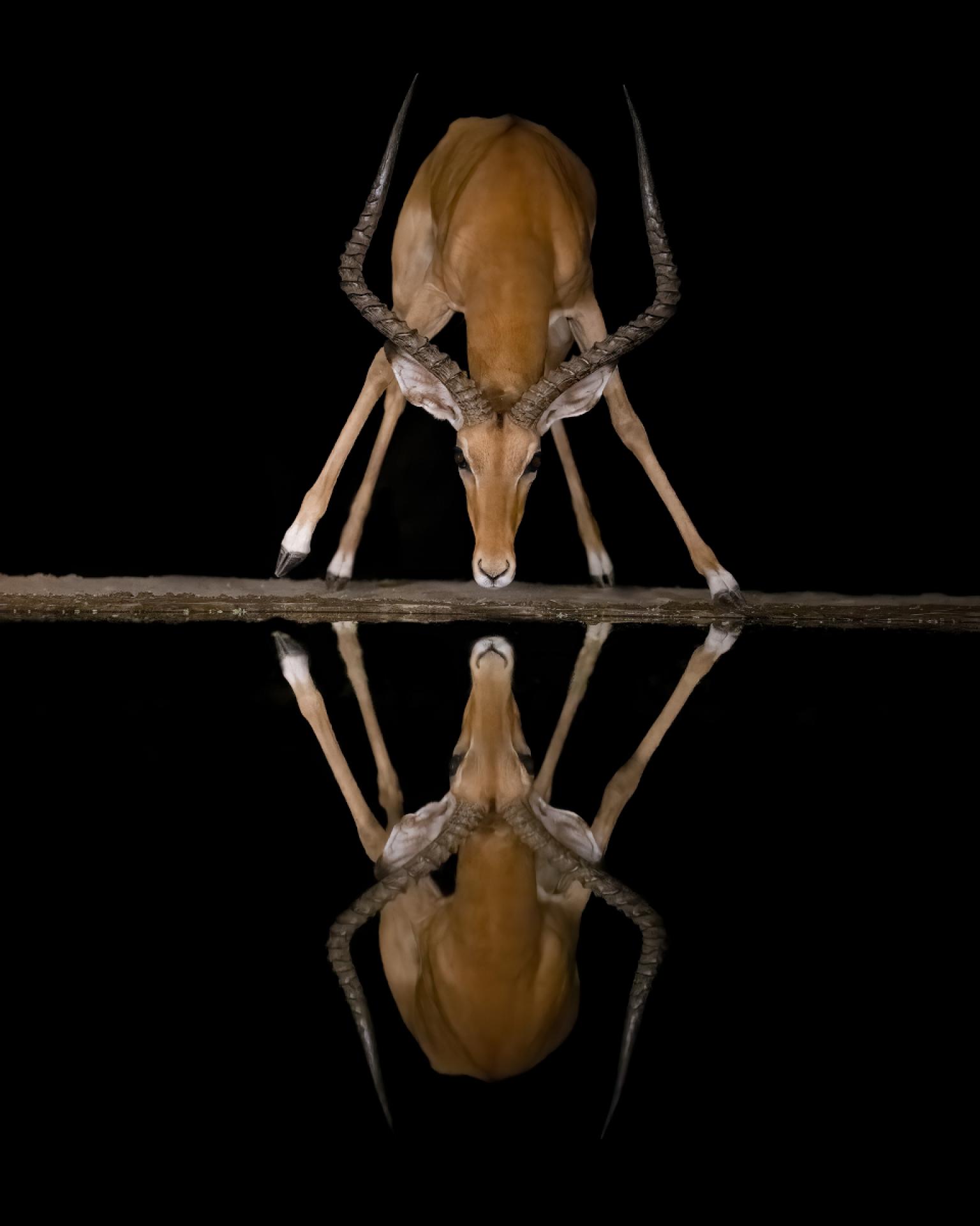 European Photography Awards Winner - Reflections in the Night