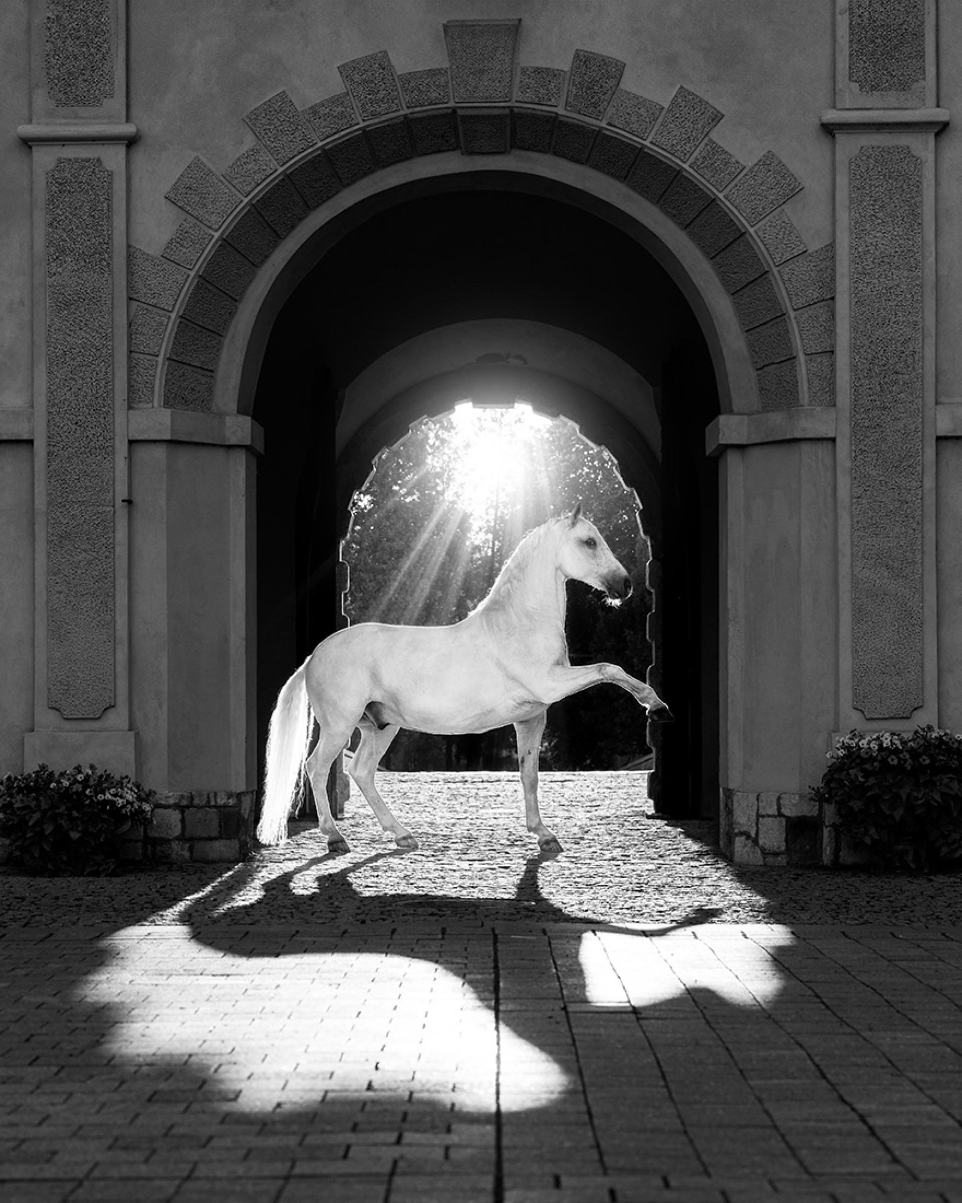 European Photography Awards Winner - The Gatekeeper