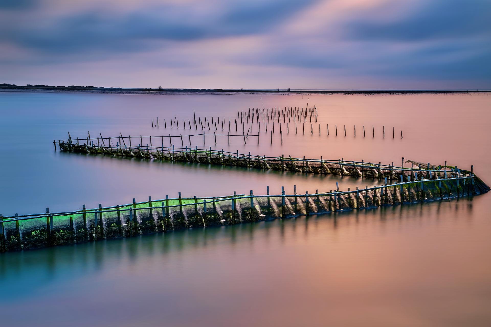 European Photography Awards Winner - z-shaped oyster racks