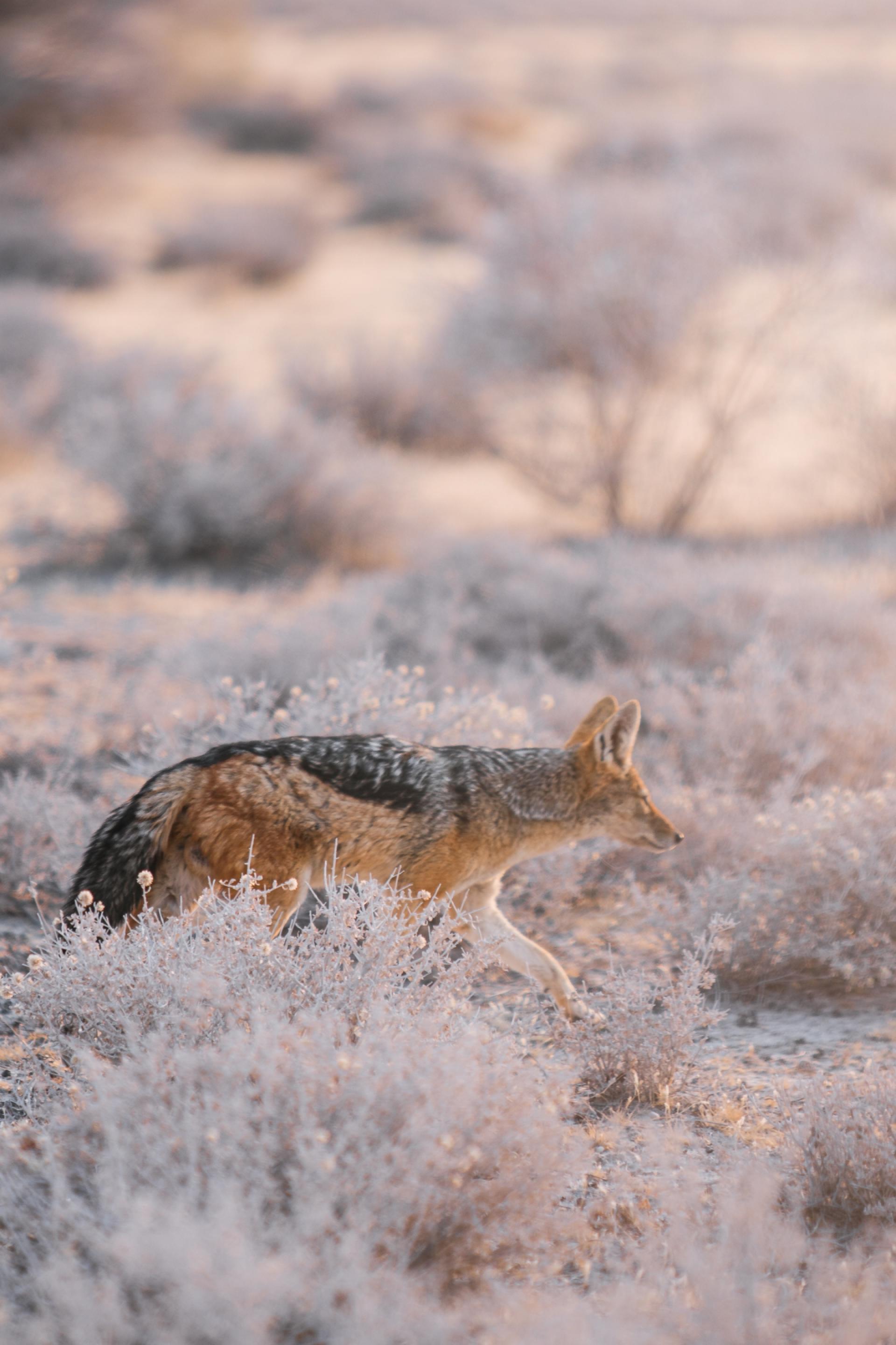 European Photography Awards Winner - Psyche