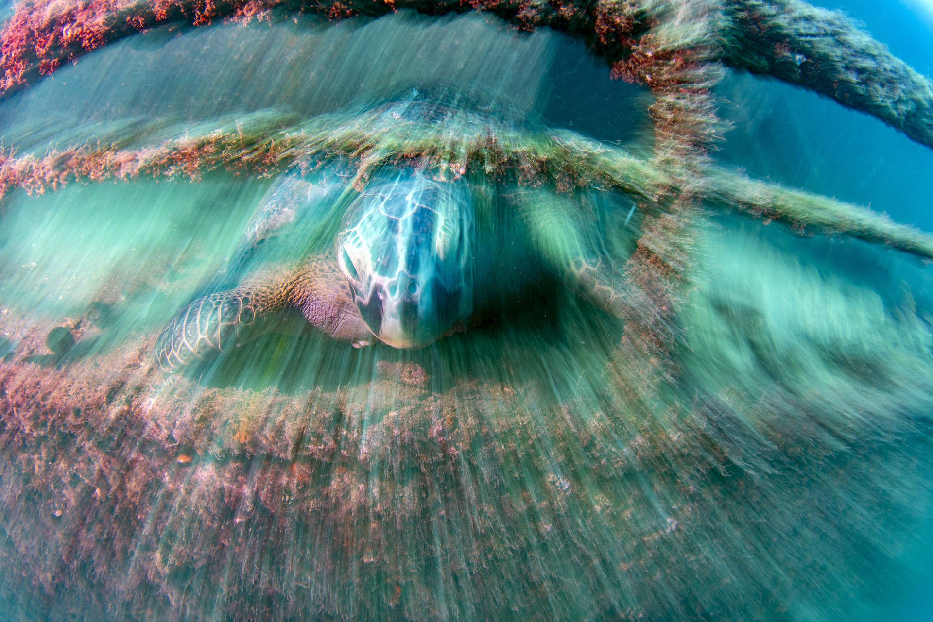 European Photography Awards Winner - The Haunted Wreck