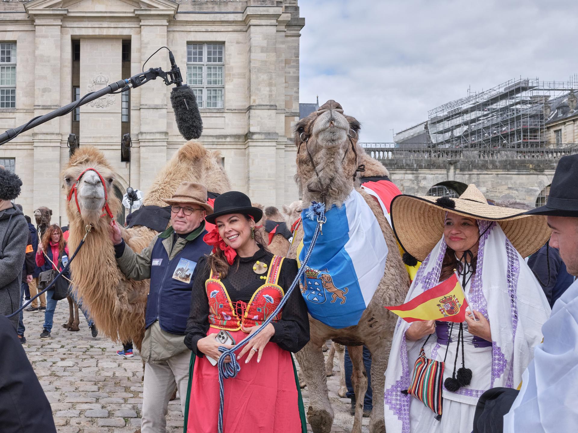 European Photography Awards Winner - The controversial camelid parade