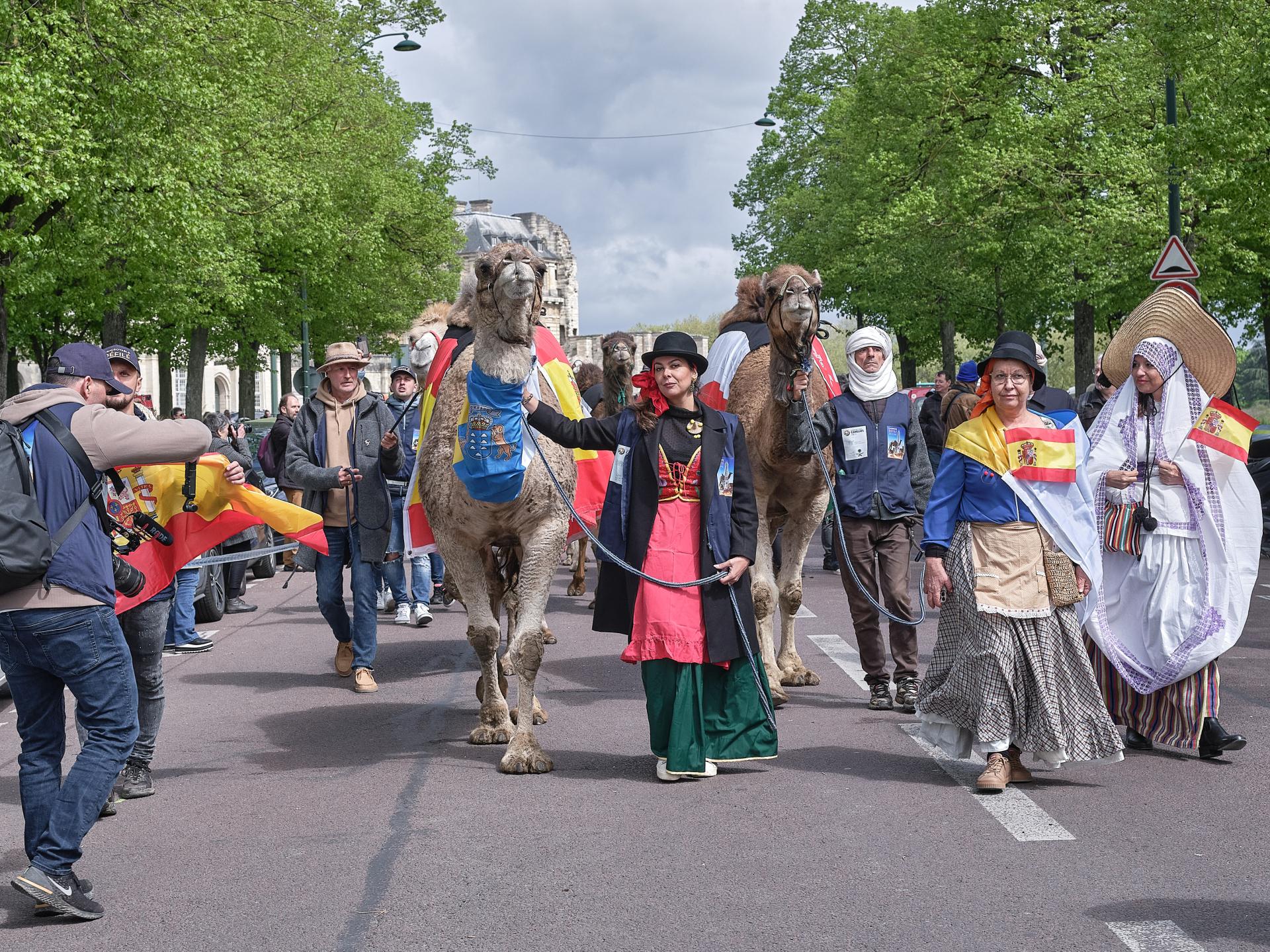 European Photography Awards Winner - The controversial camelid parade