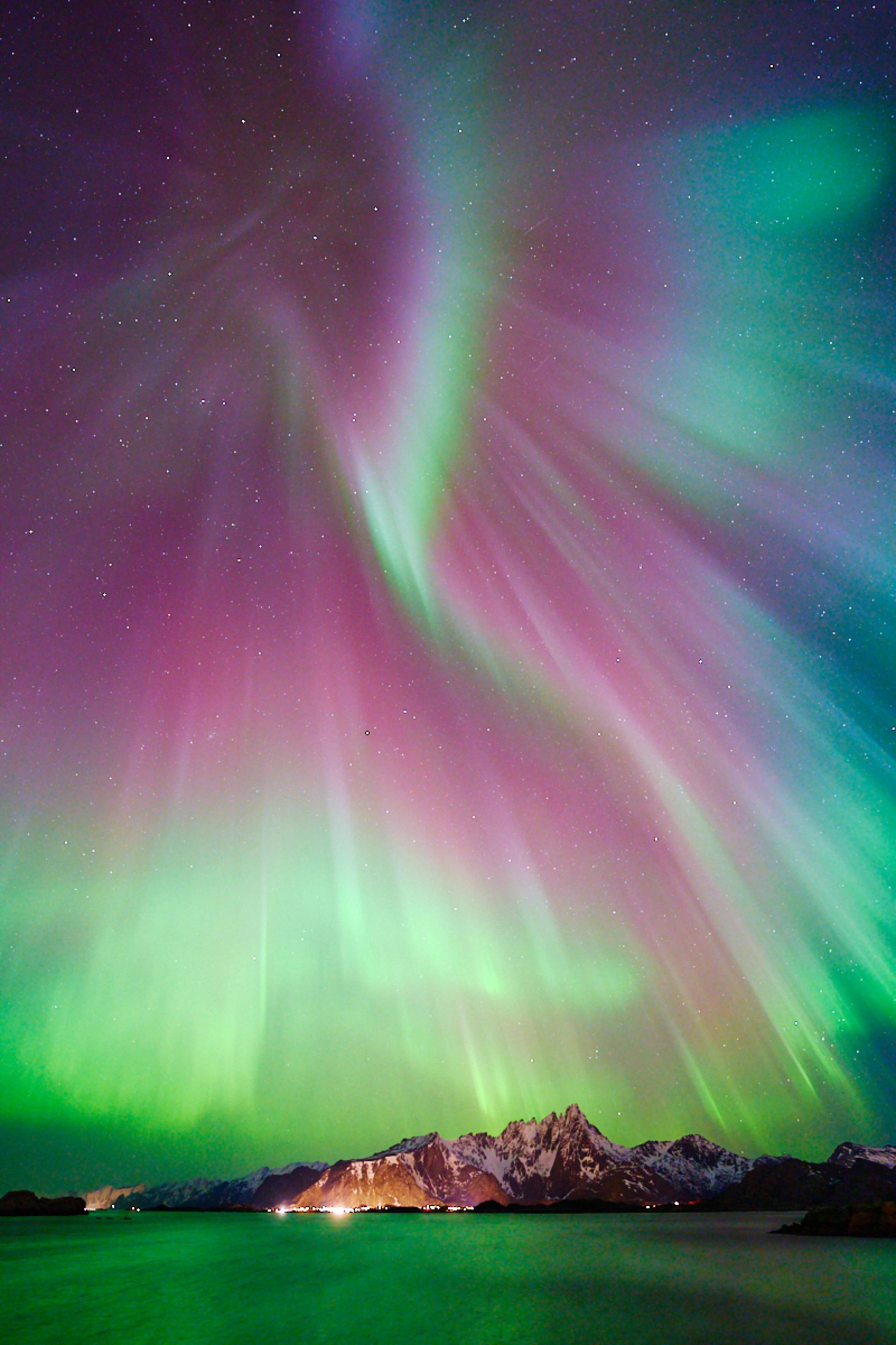 European Photography Awards Winner - Aurora Butterfly