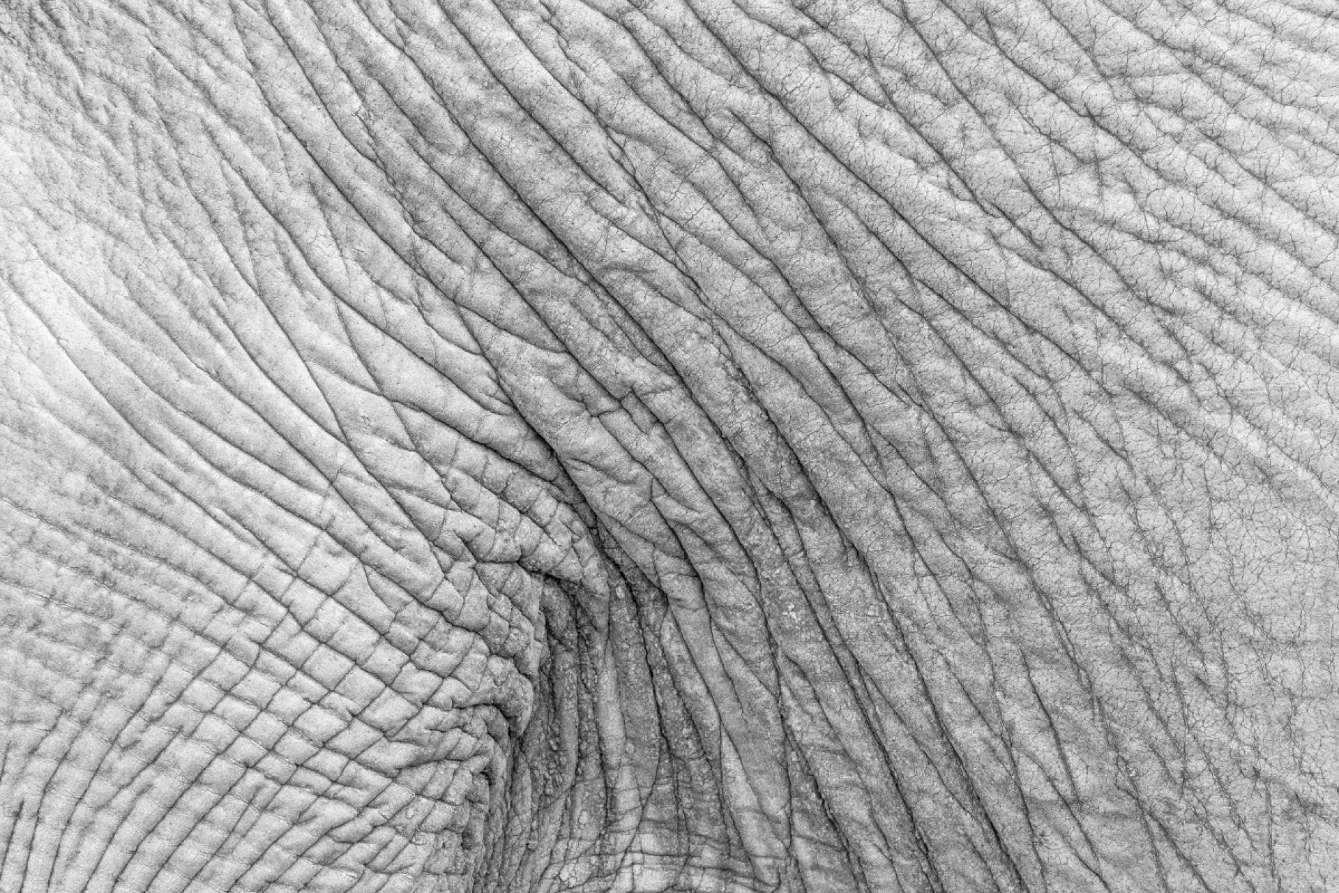 European Photography Awards Winner - Thirsty earth