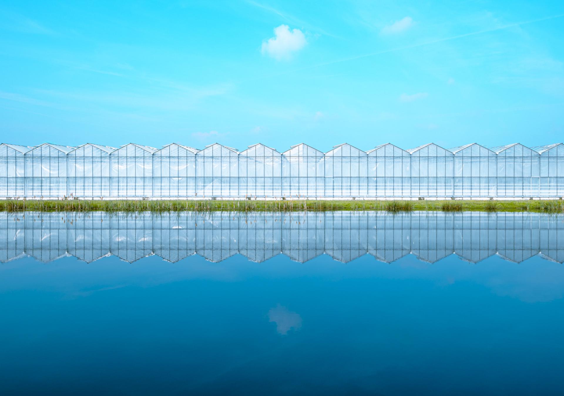 European Photography Awards Winner - Lakeside greenhouse