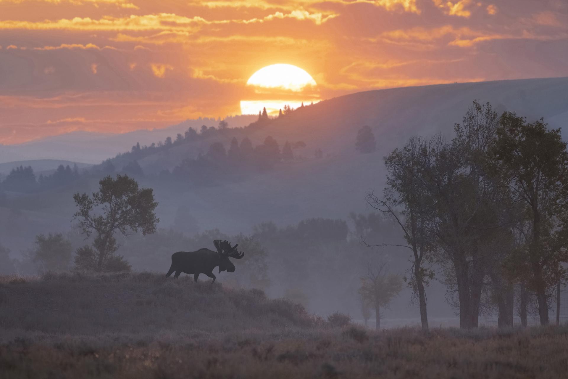 European Photography Awards Winner - Romance of the American West