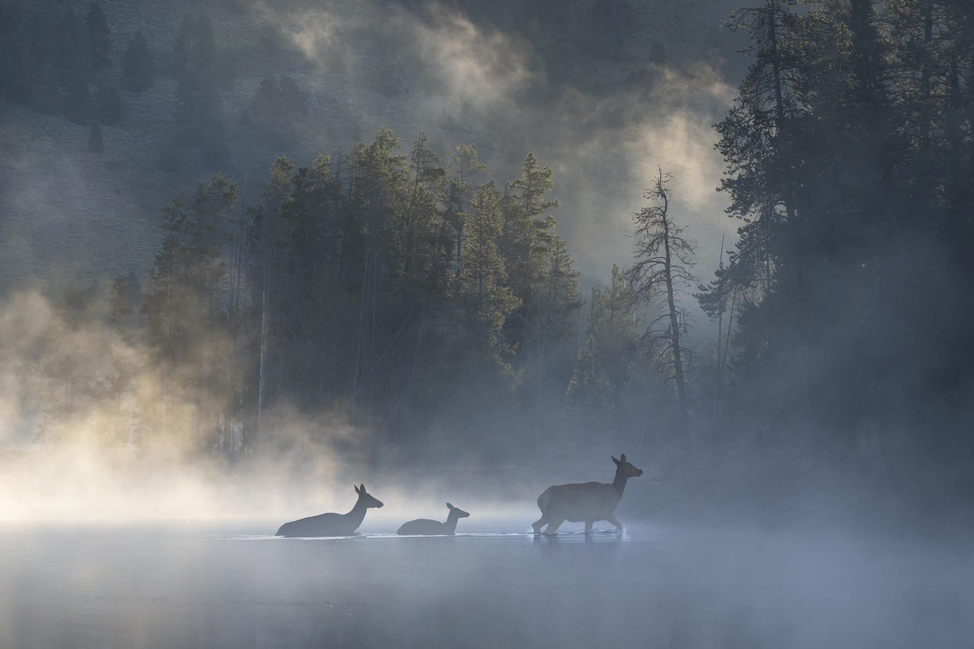 European Photography Awards Winner - Romance of the American West