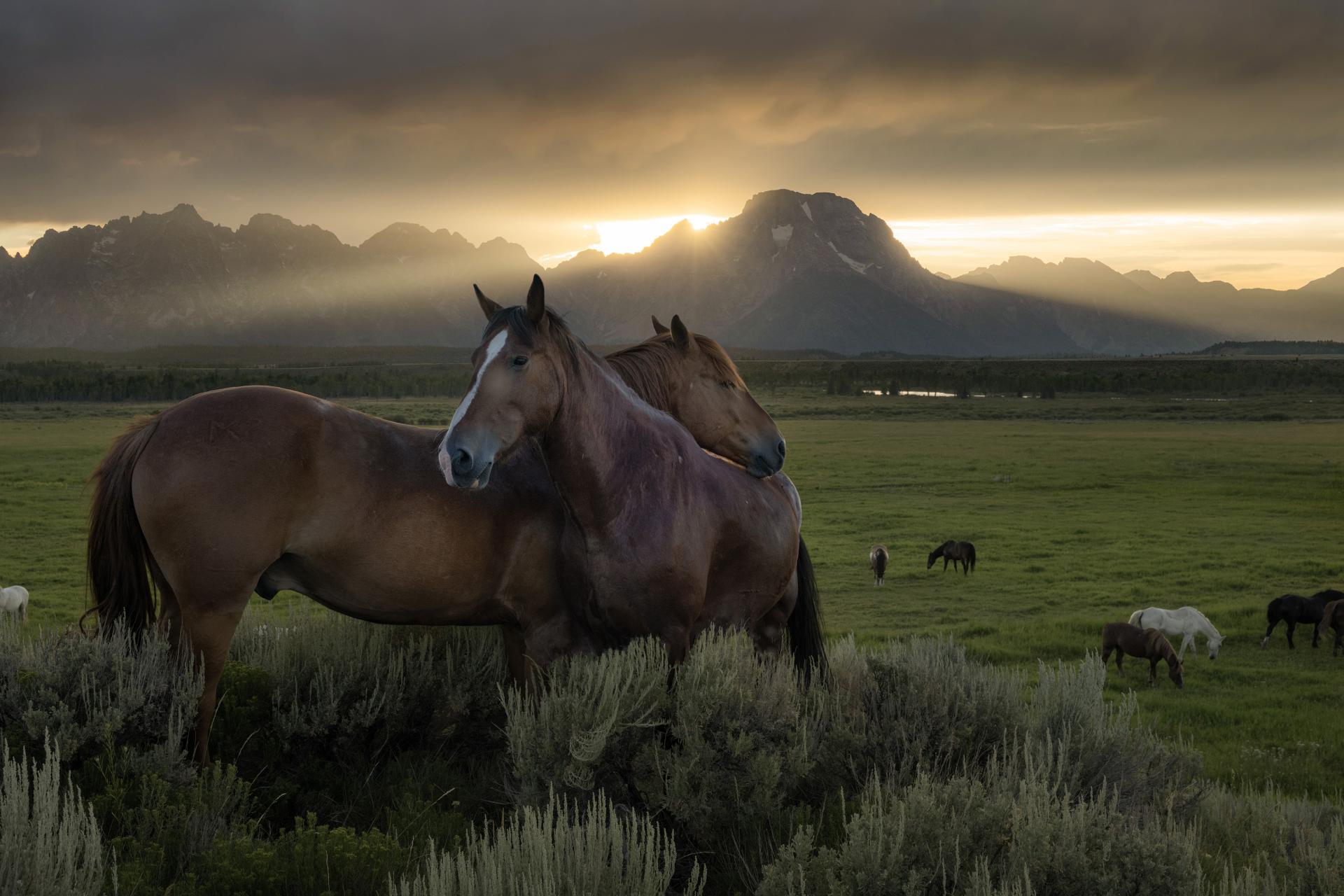 European Photography Awards Winner - Romance of the American West