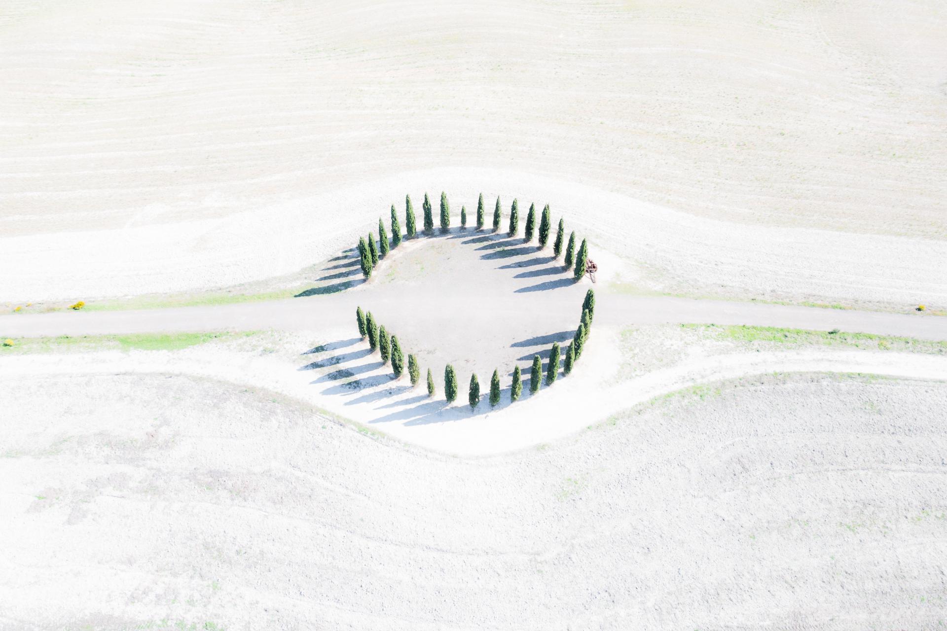 European Photography Awards Winner - The Cypress Circle