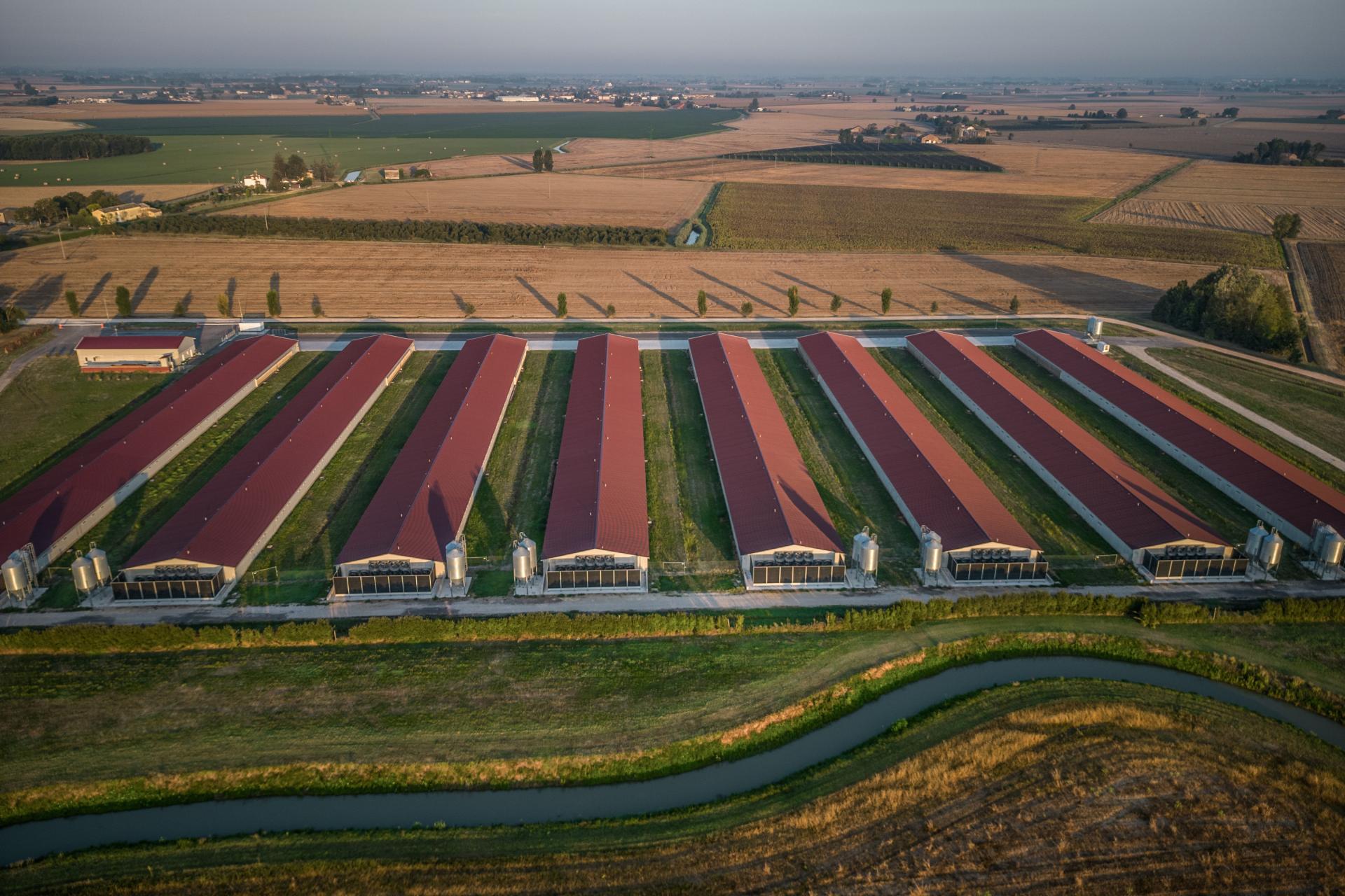 European Photography Awards Winner - Long Shadow