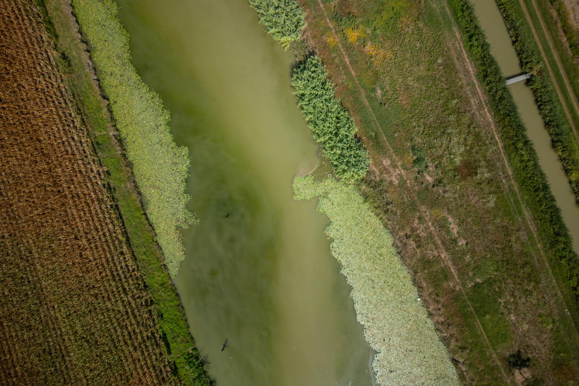 European Photography Awards Winner - Long Shadow