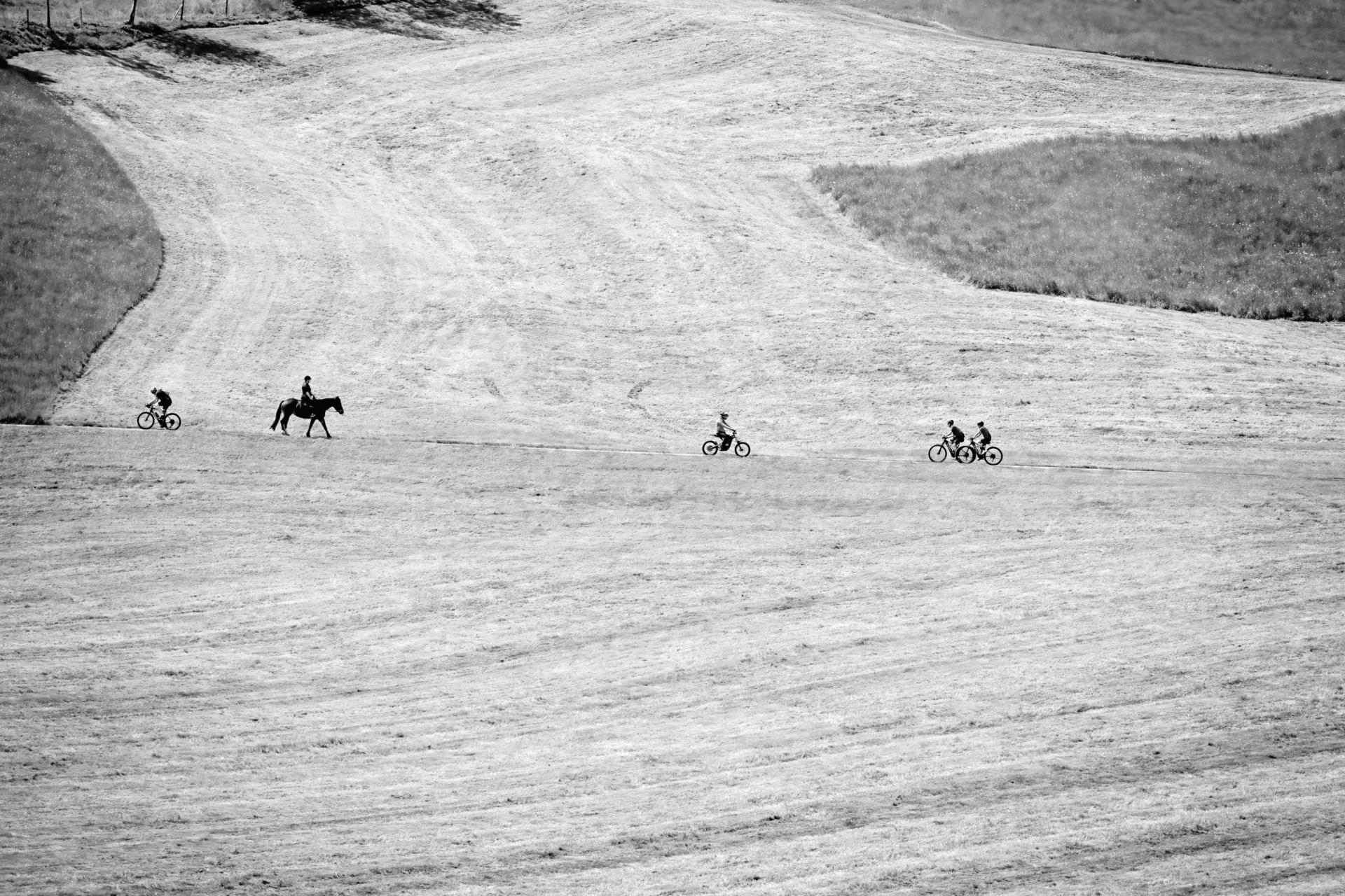 European Photography Awards Winner - Riders