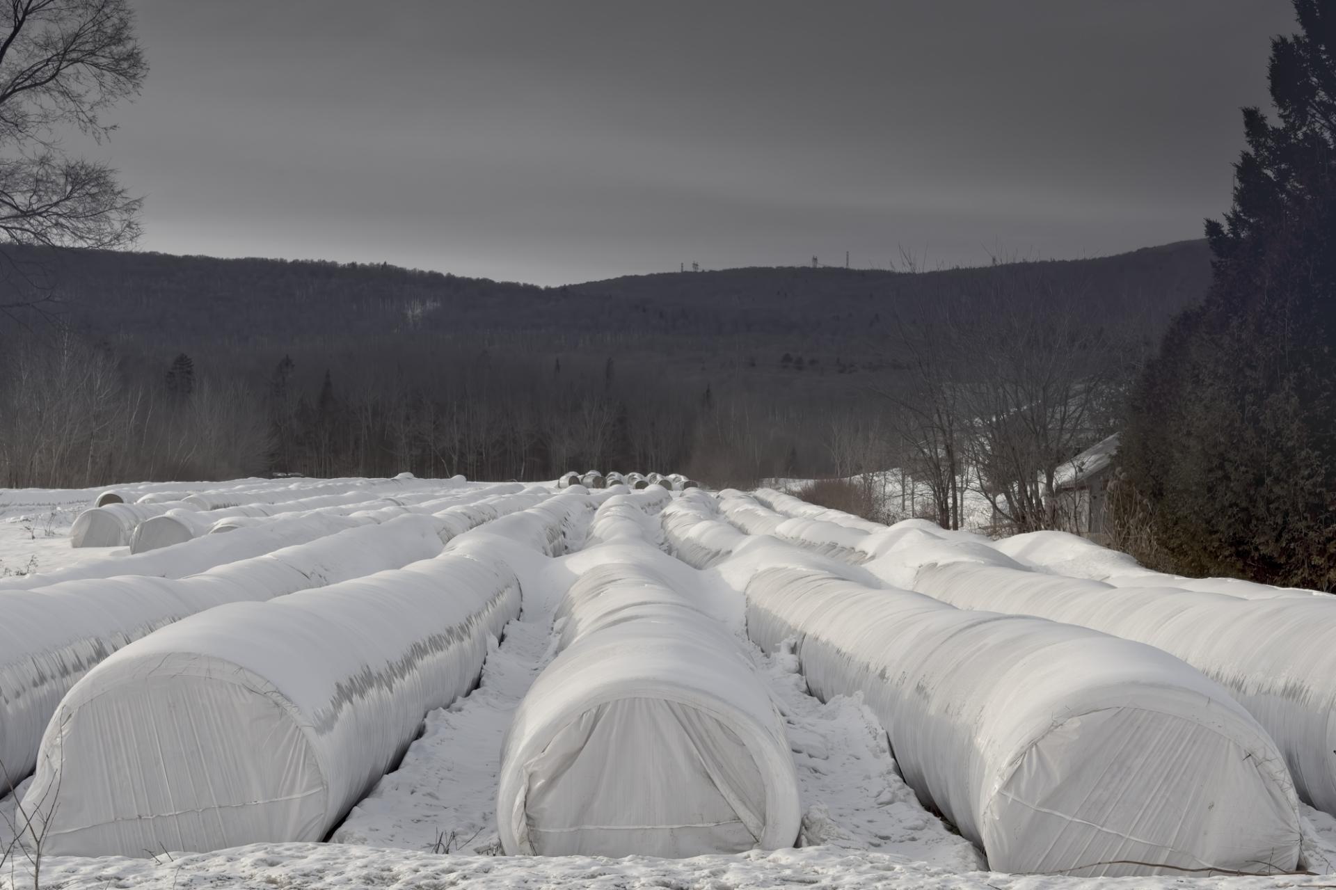 European Photography Awards Winner - Winterized Hay Bale Mounds in Quebec