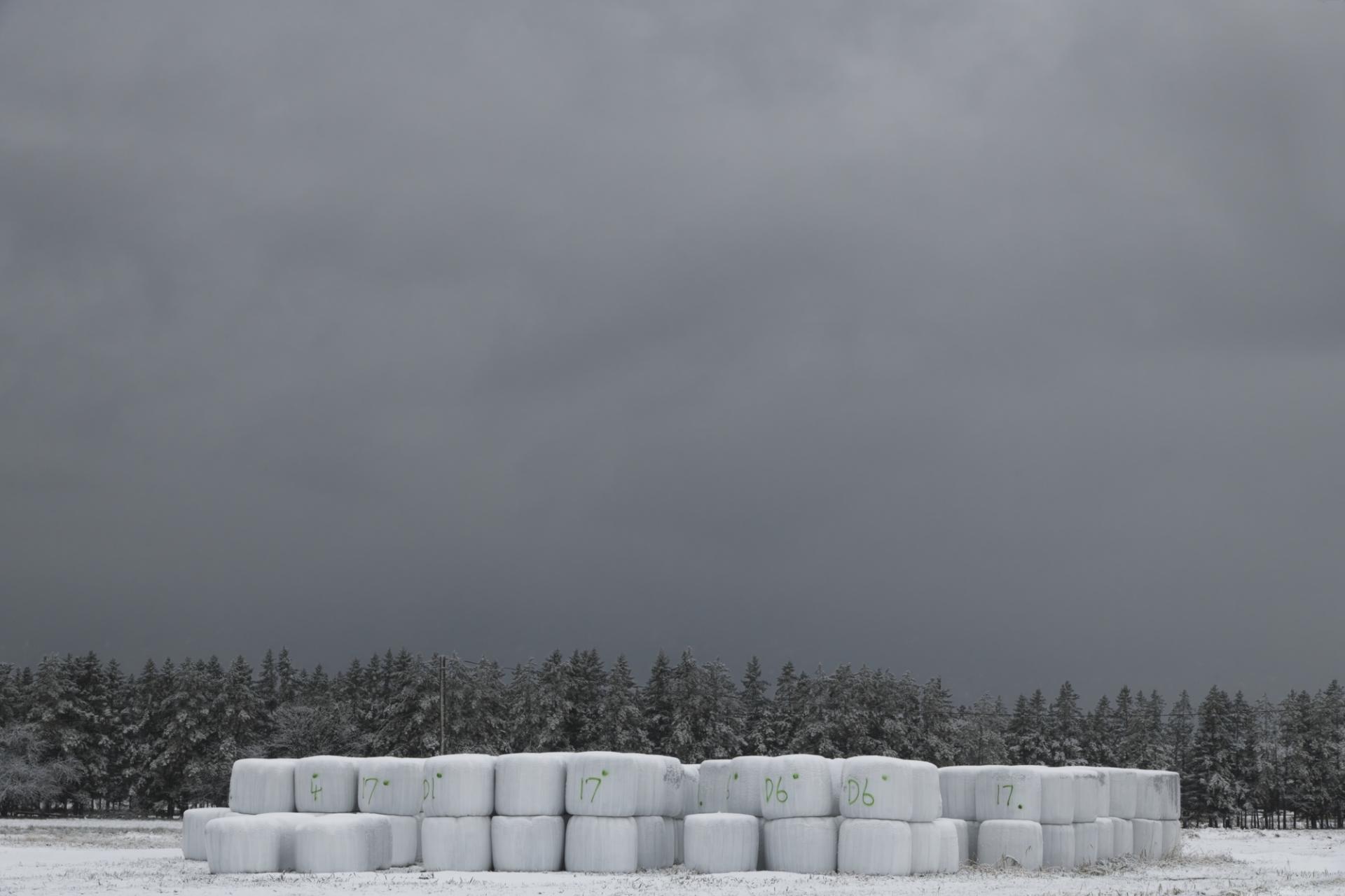 European Photography Awards Winner - Winterized Hay Bale Mounds in Quebec