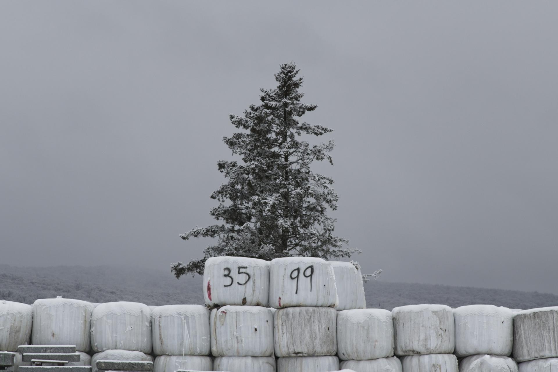 European Photography Awards Winner - Winterized Hay Bale Mounds in Quebec