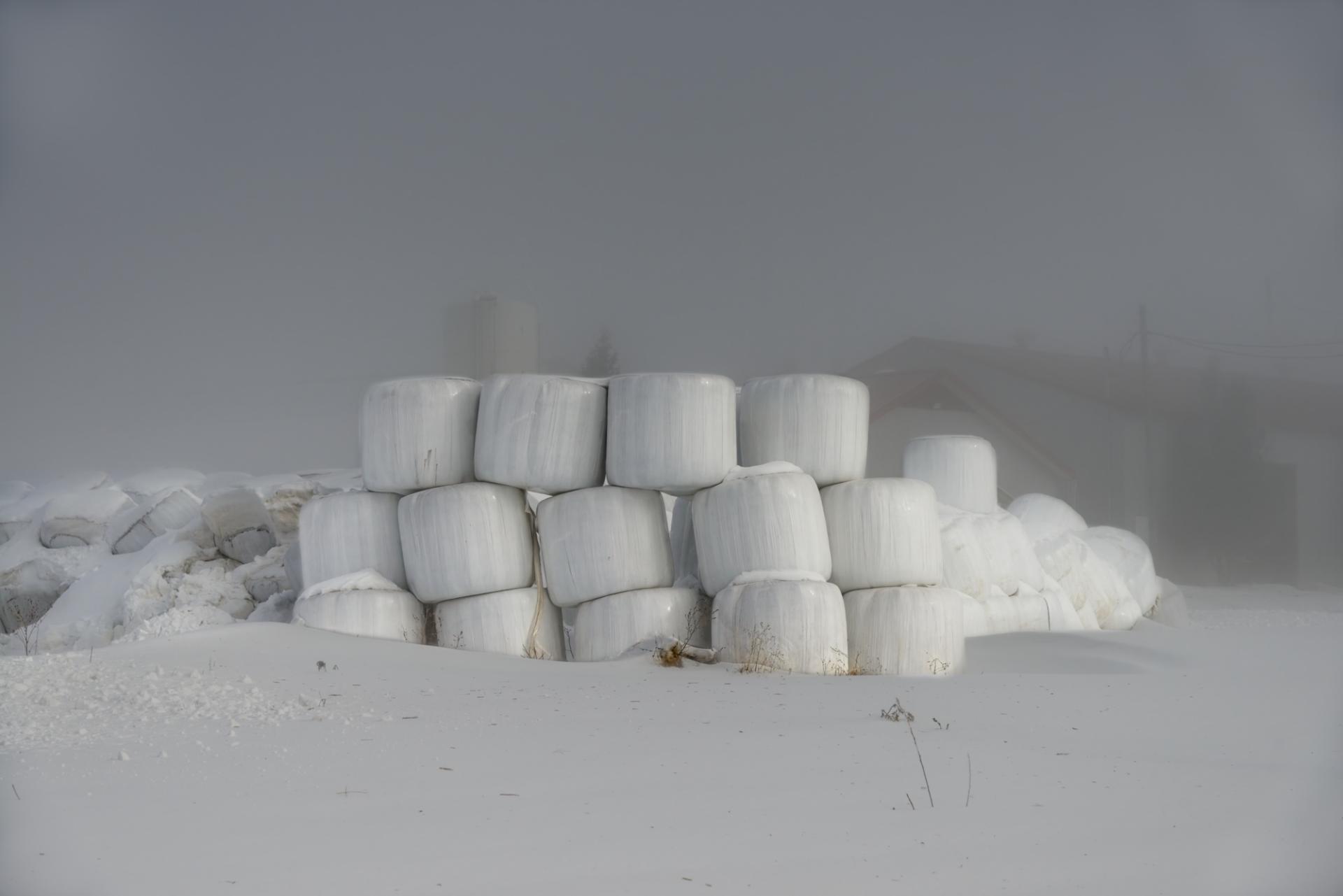 European Photography Awards Winner - Winterized Hay Bale Mounds in Quebec