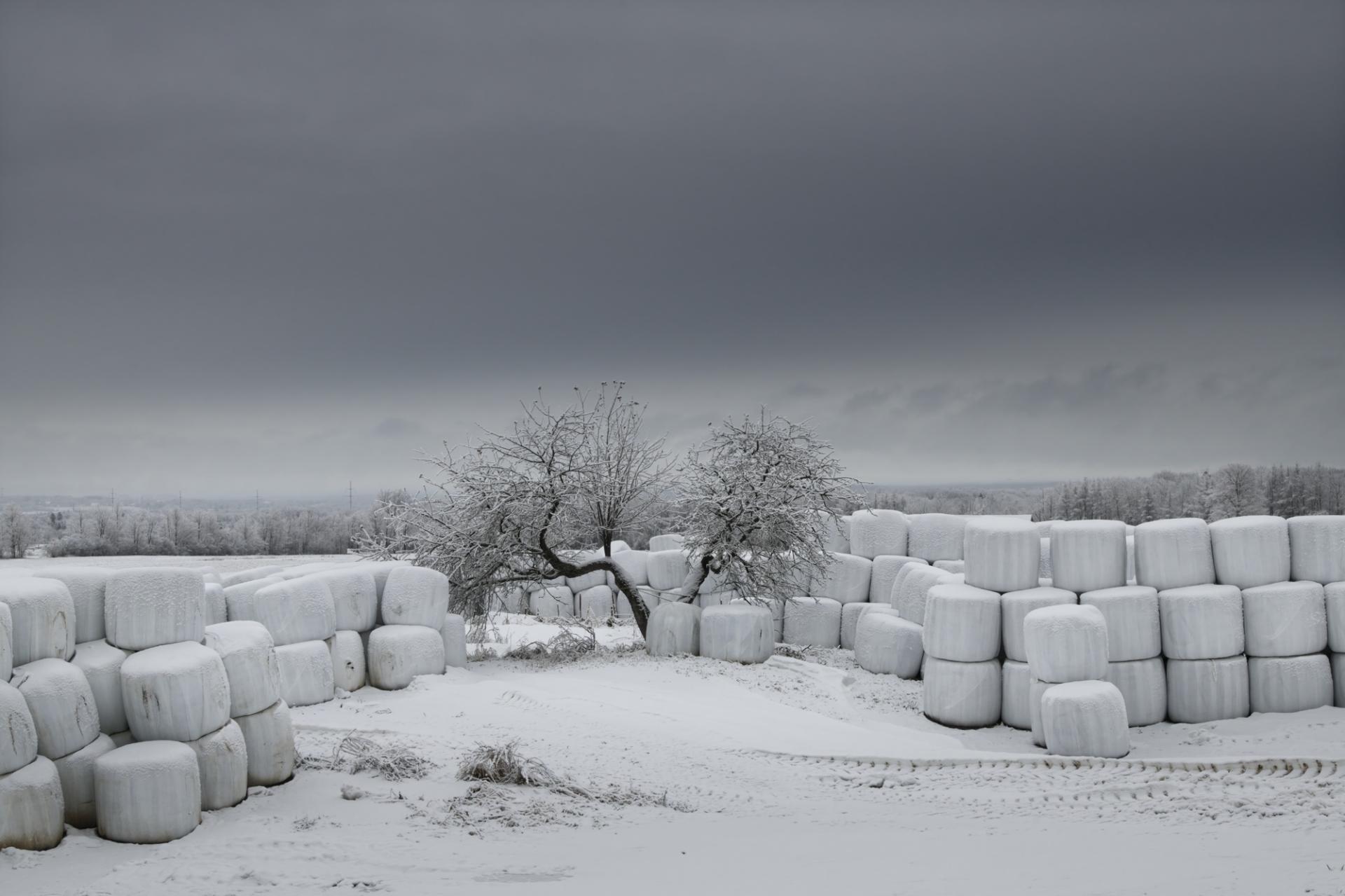 European Photography Awards Winner - Winterized Hay Bale Mounds in Quebec