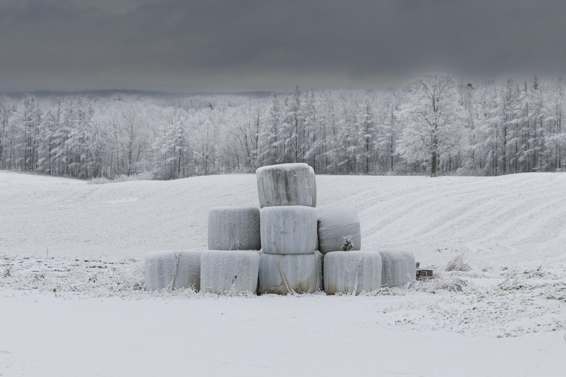 European Photography Awards Winner - Winterized Hay Bale Mounds in Quebec