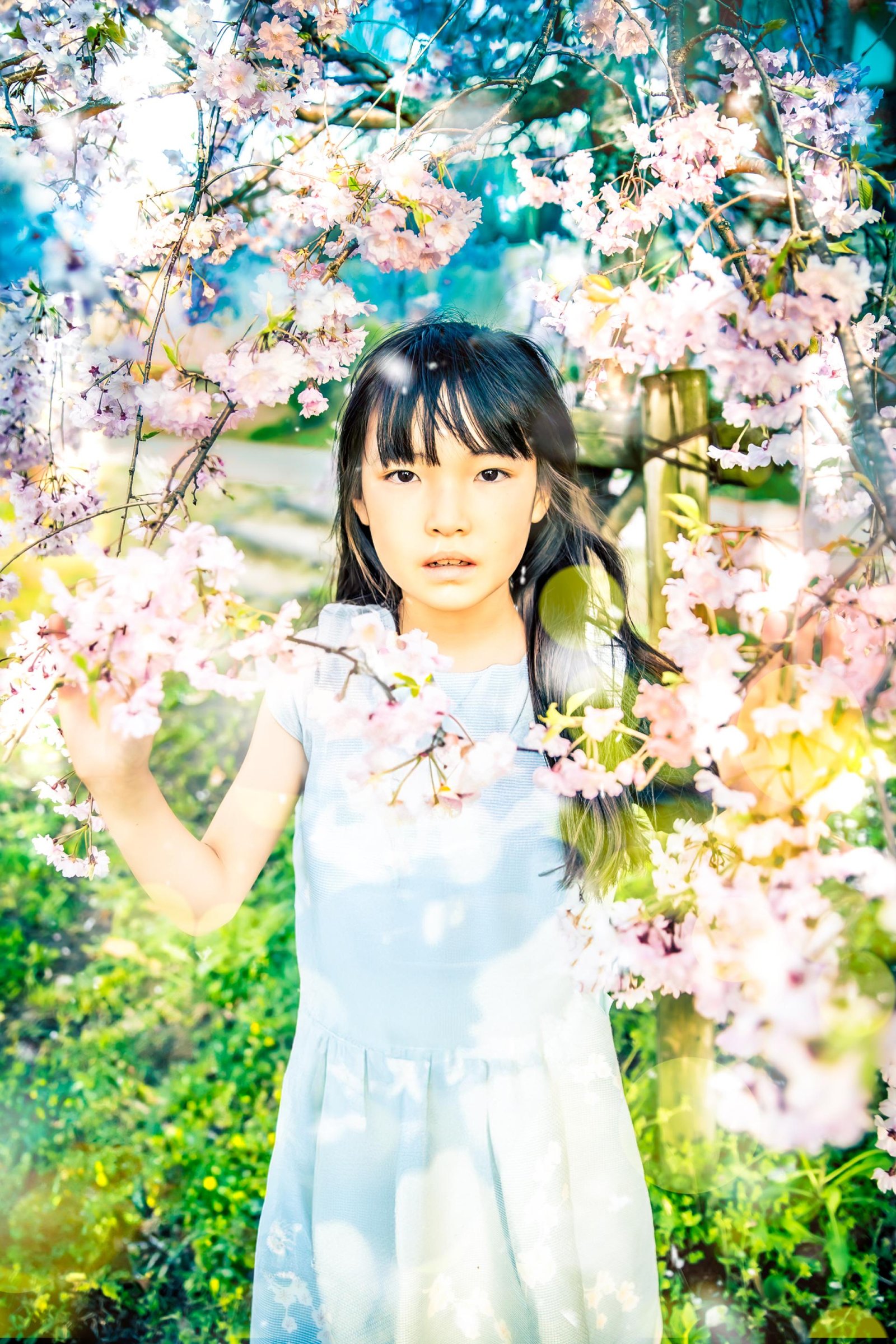 European Photography Awards Winner - My garden