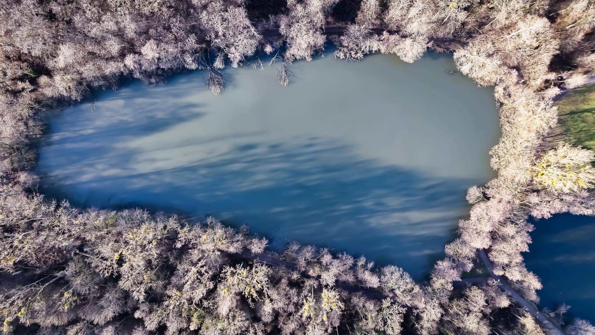 European Photography Awards Winner - Heart lake