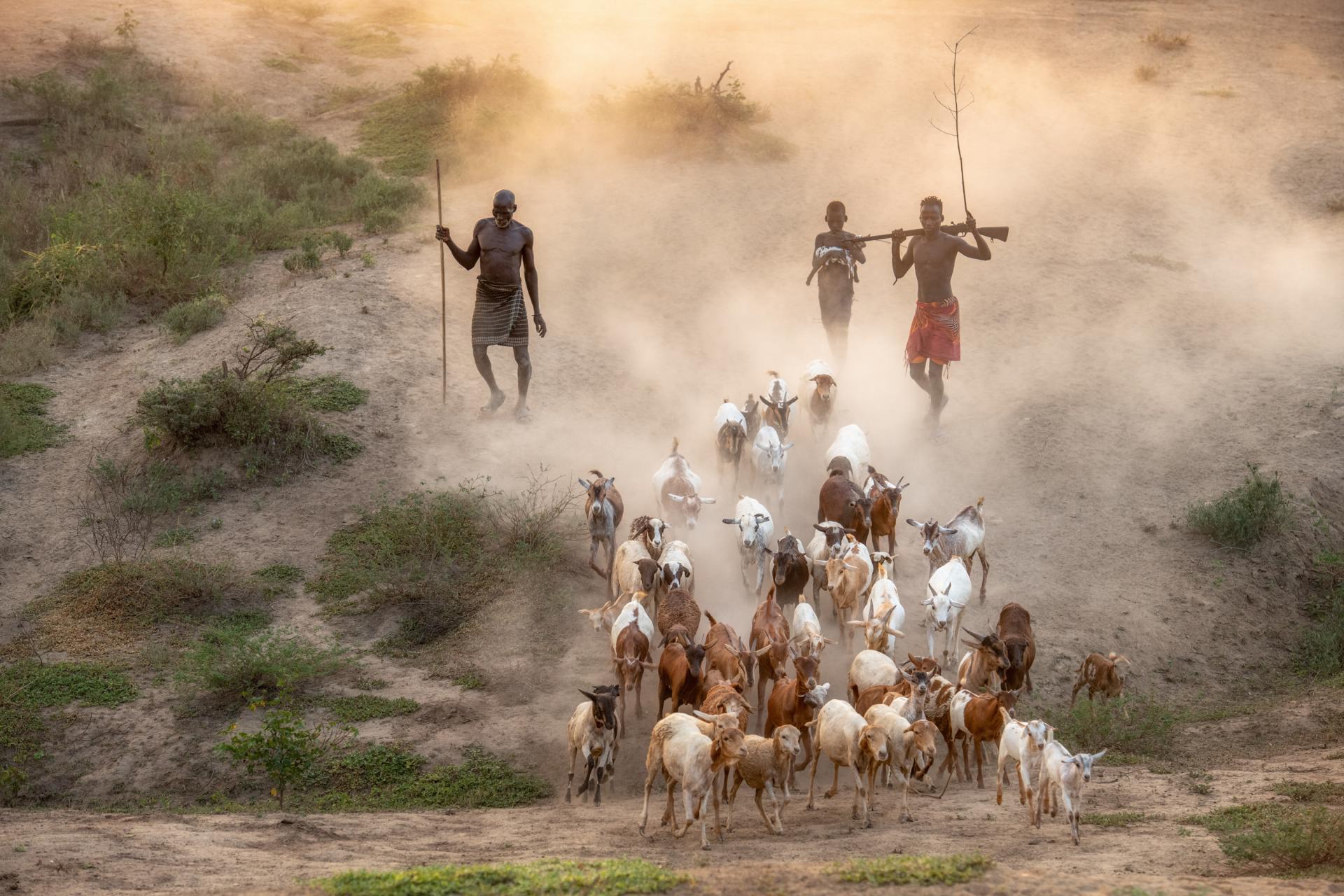 European Photography Awards Winner - Pastoral peoples and practices 