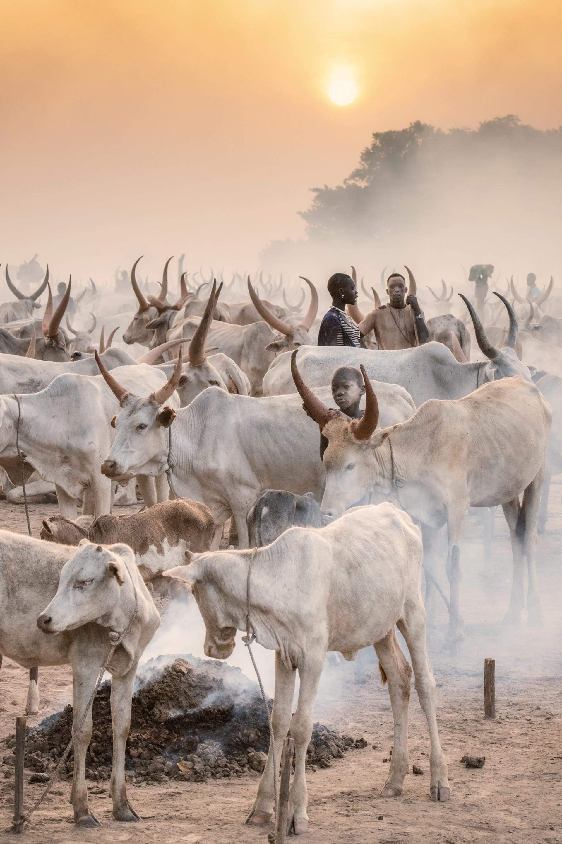 European Photography Awards Winner - Pastoral peoples and practices 