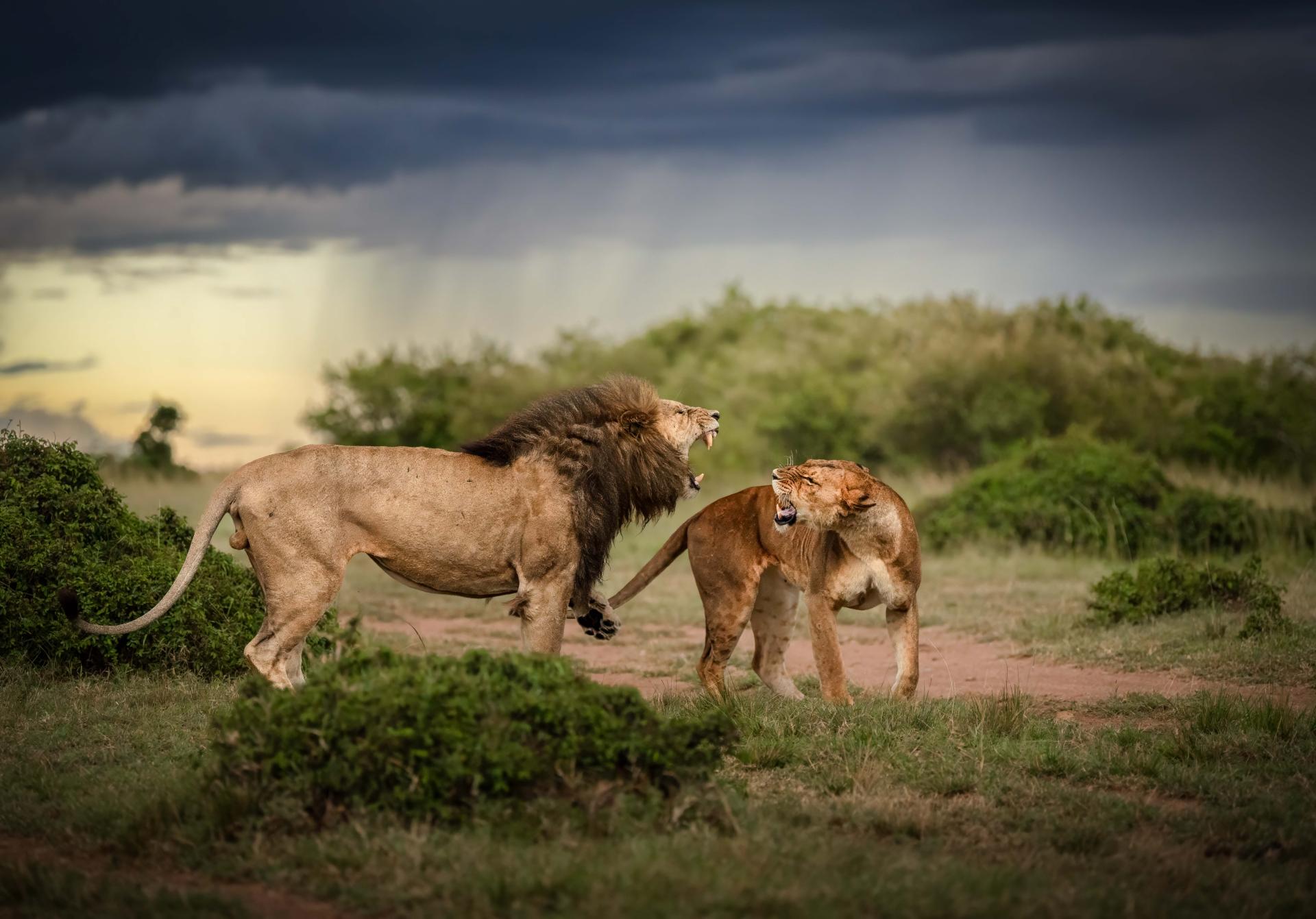 European Photography Awards Winner - Love and War