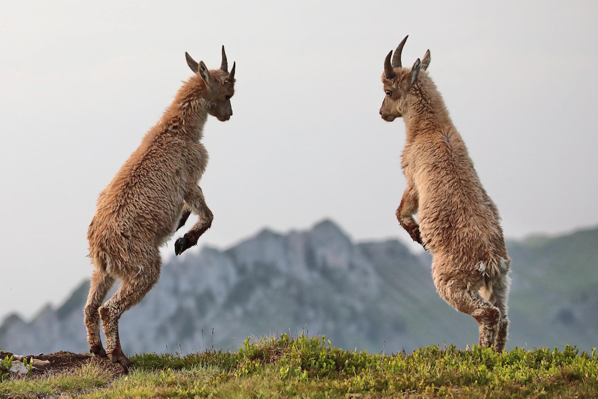 European Photography Awards Winner - practice makes perfect