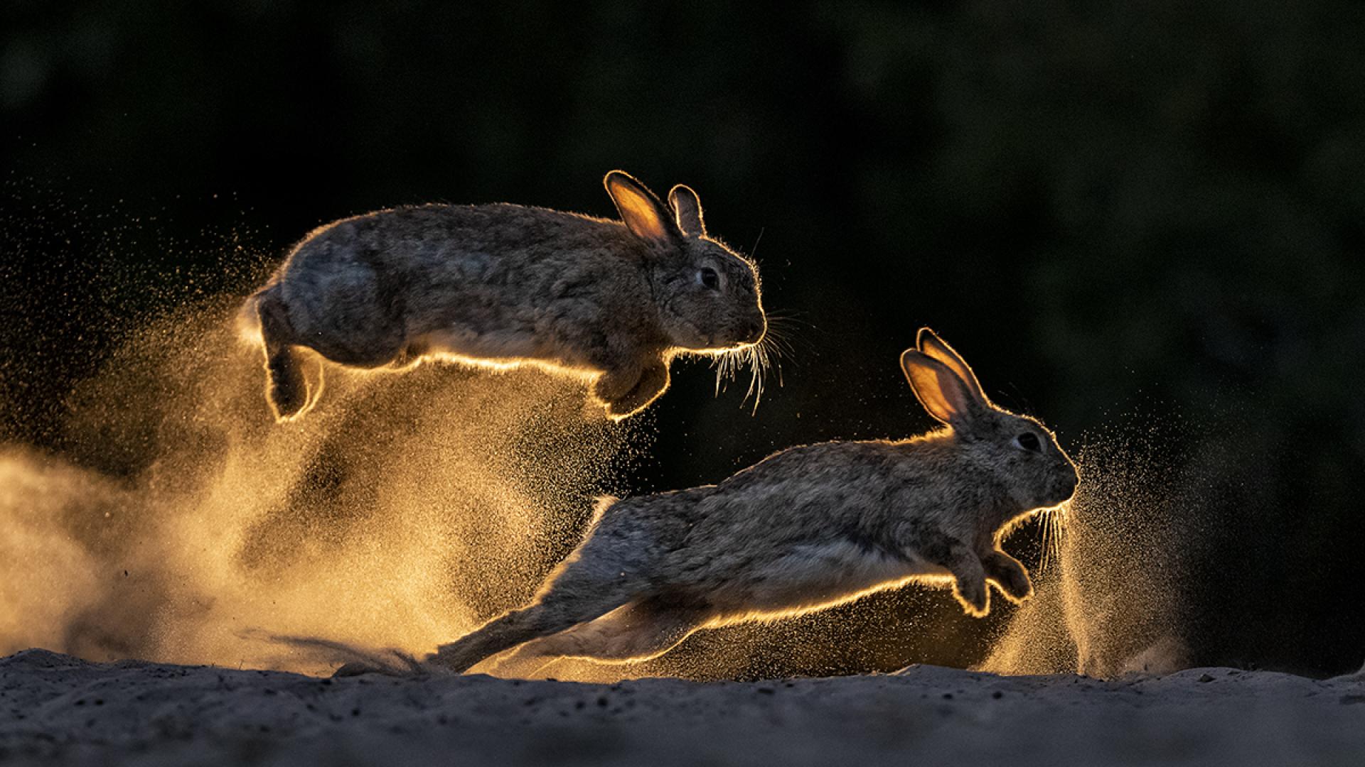 European Photography Awards Winner - Dark is The Night