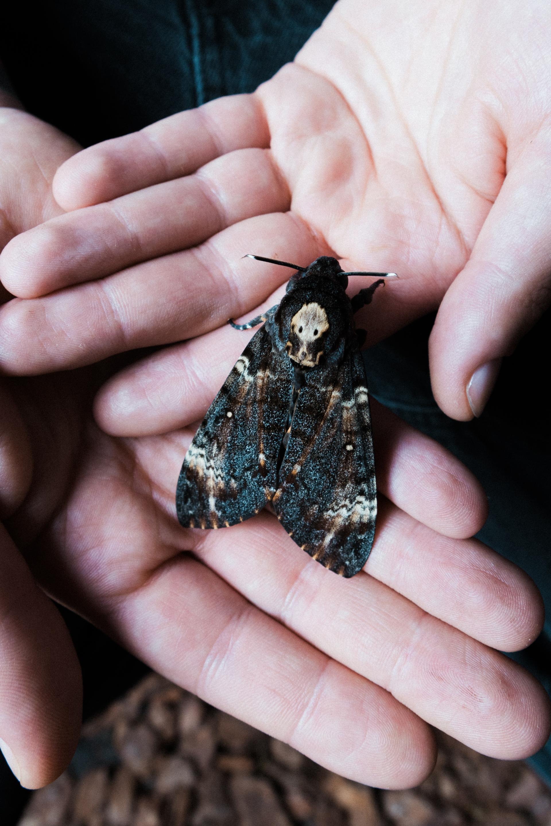 European Photography Awards Winner - An Unusual Friendship