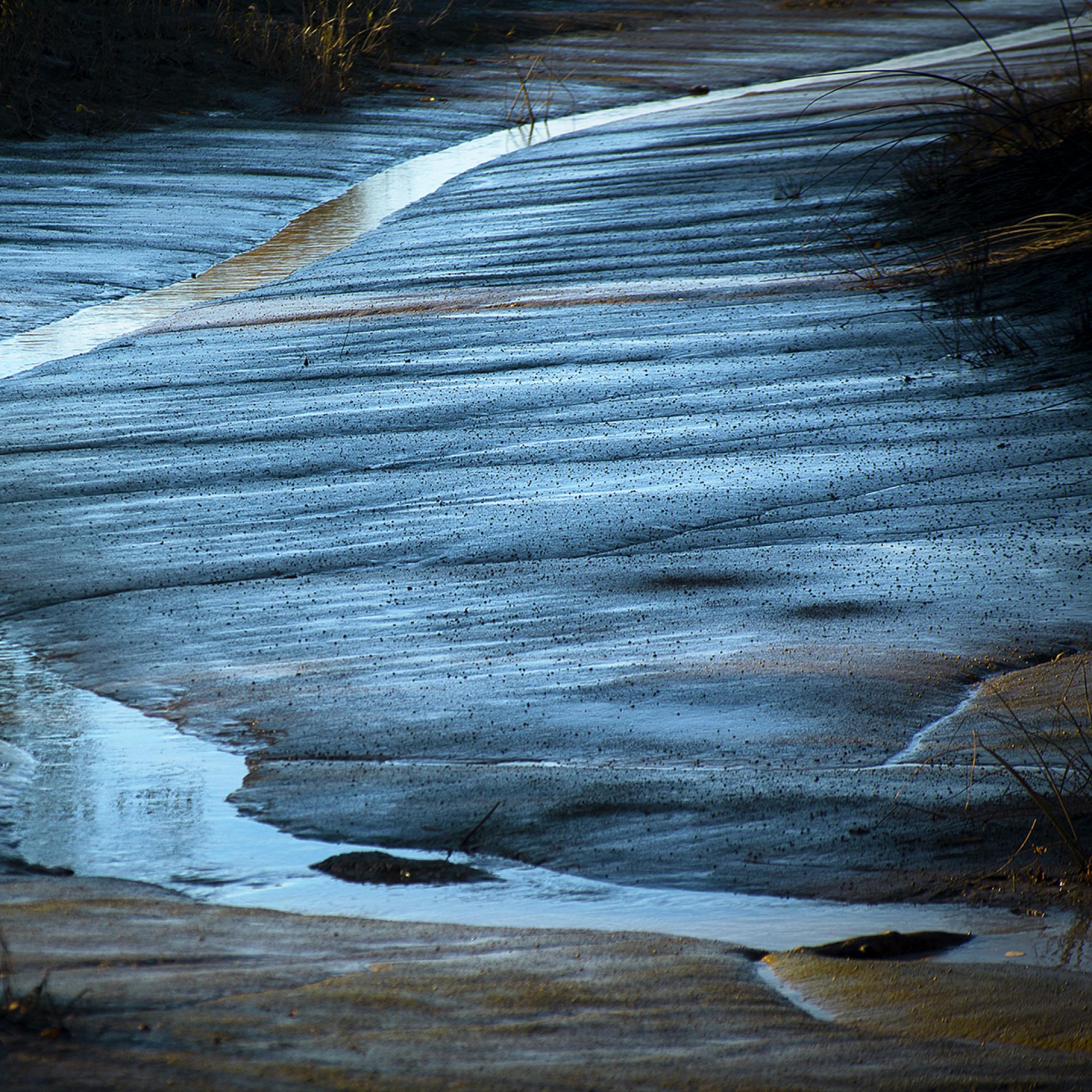 European Photography Awards Winner - Blue Gold Wetland I