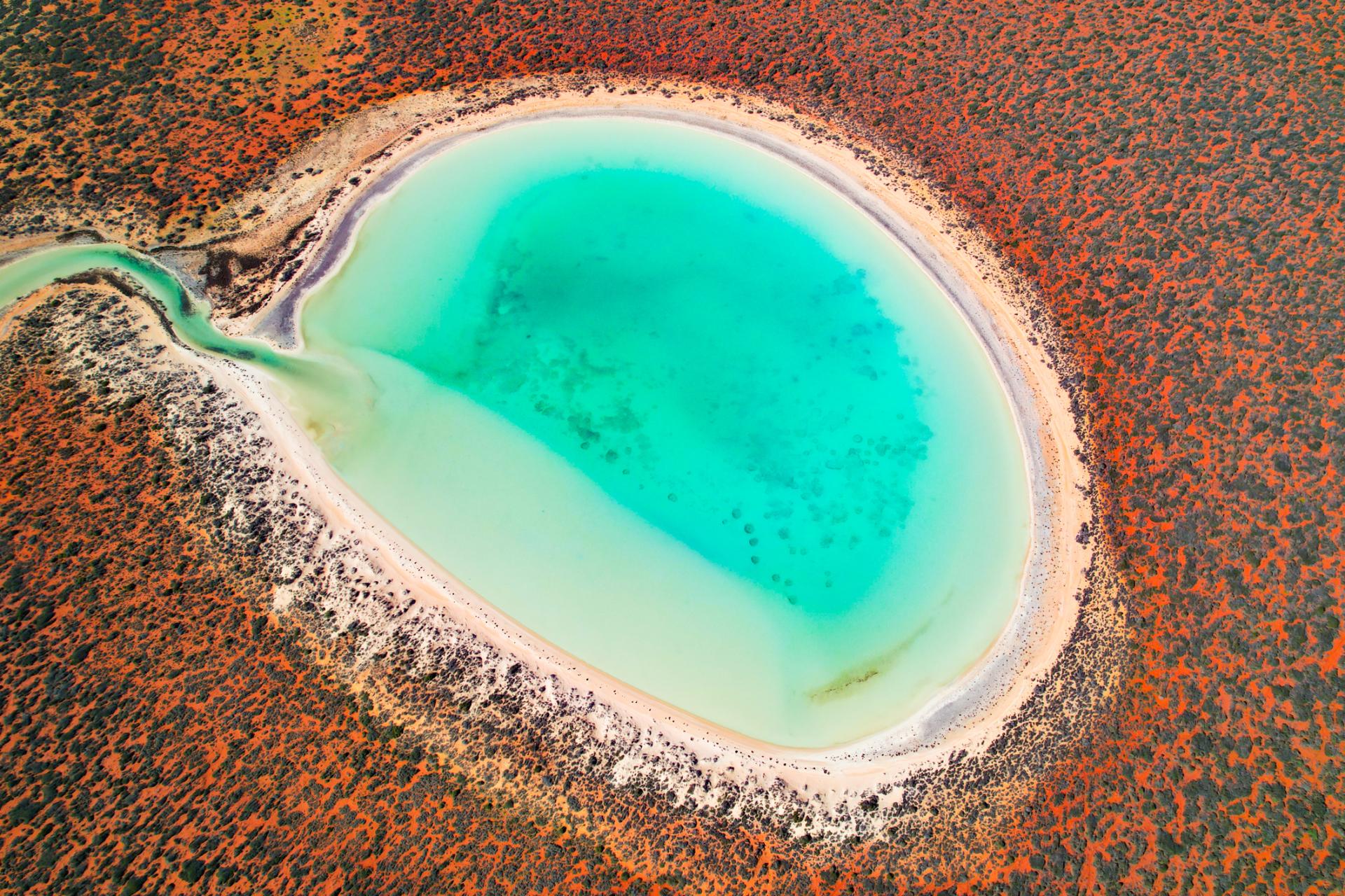 European Photography Awards Winner - Western Australia from Above: an abstract wonderland