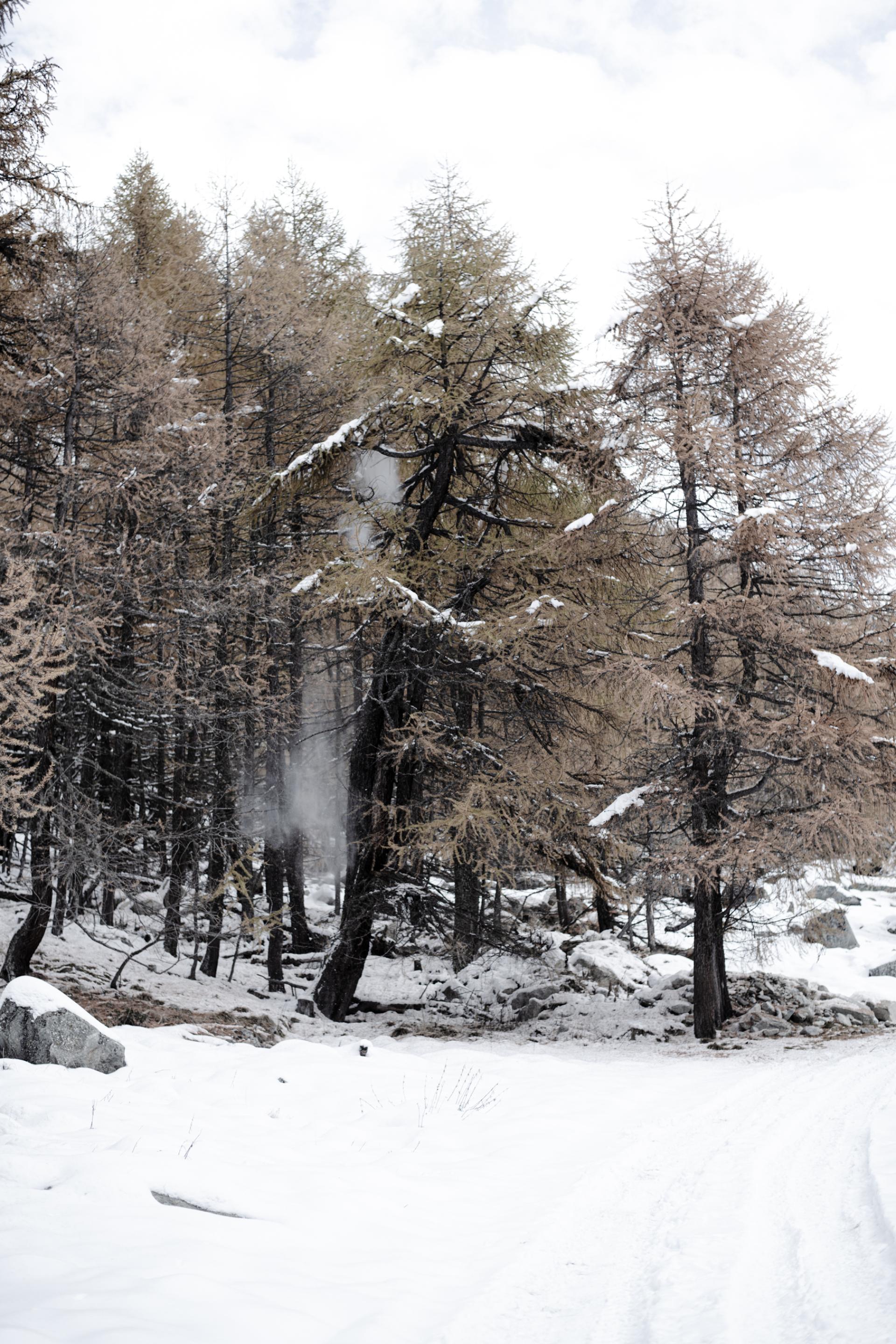 European Photography Awards Winner -  