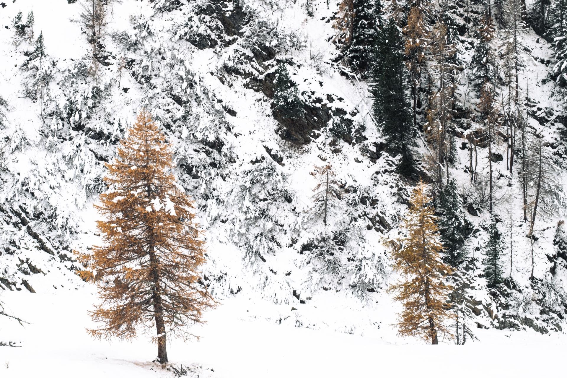 European Photography Awards Winner -  