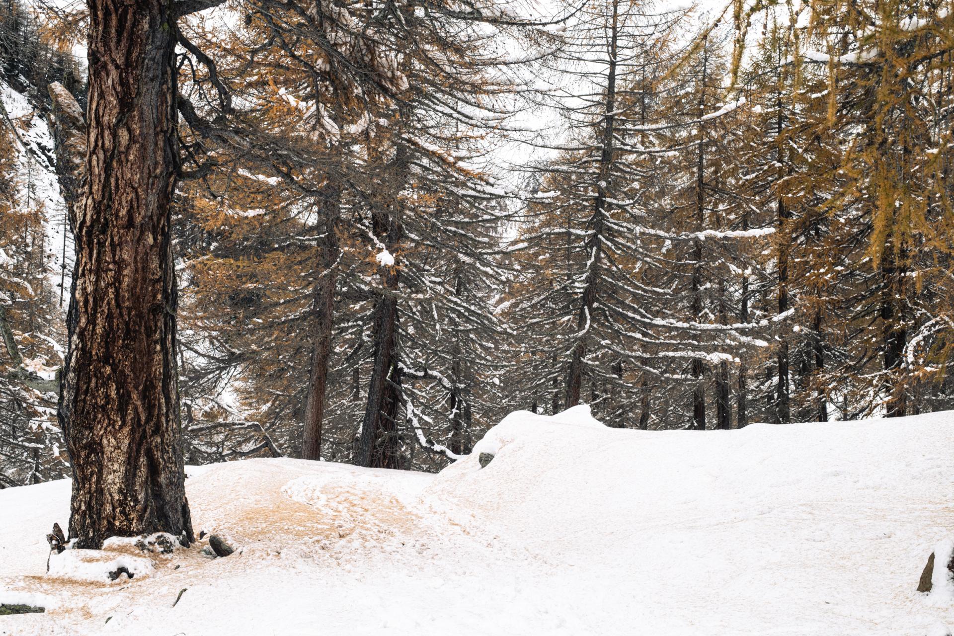 European Photography Awards Winner -  