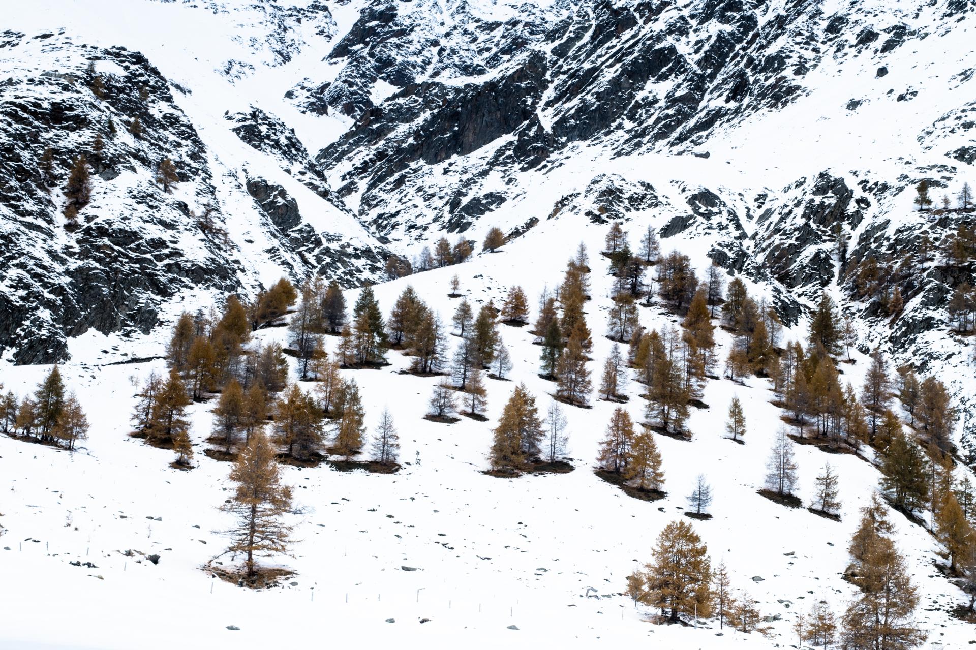 European Photography Awards Winner -  
