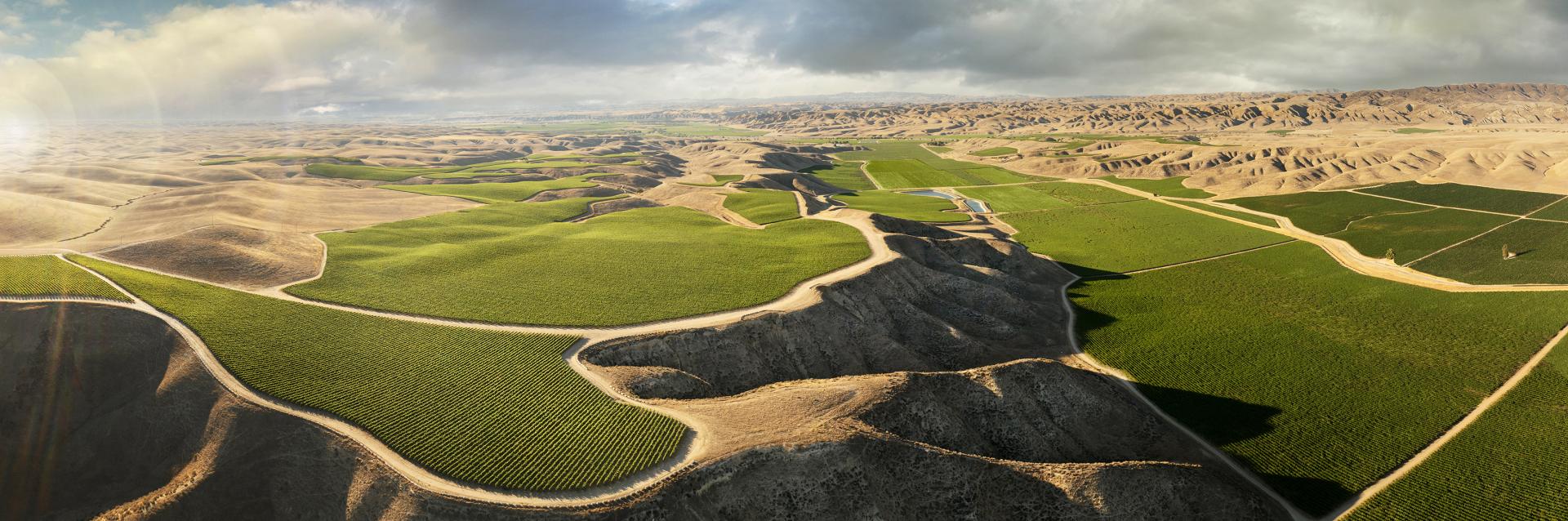 European Photography Awards Winner - Hahn Vineyards