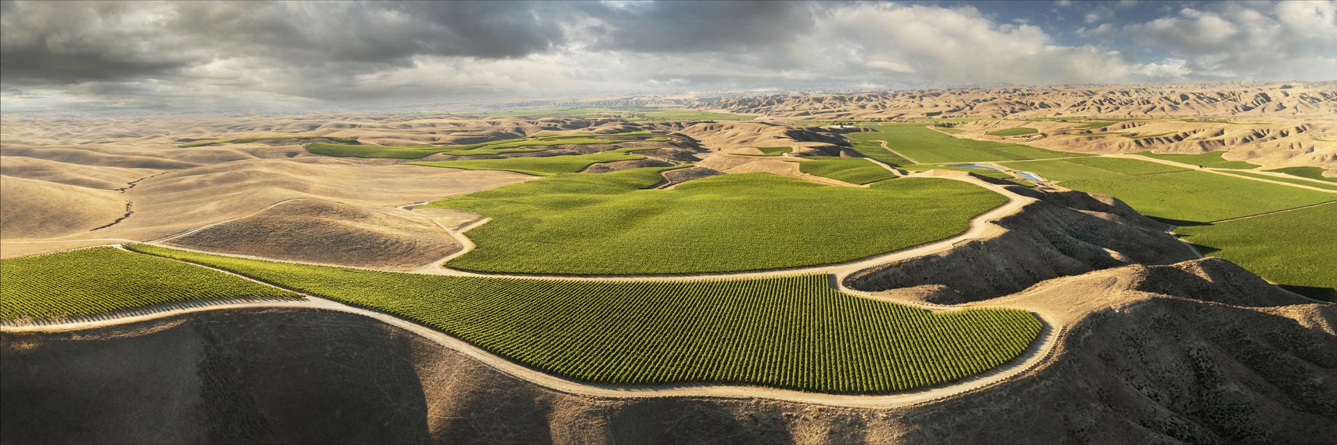 European Photography Awards Winner - Hahn Vineyards