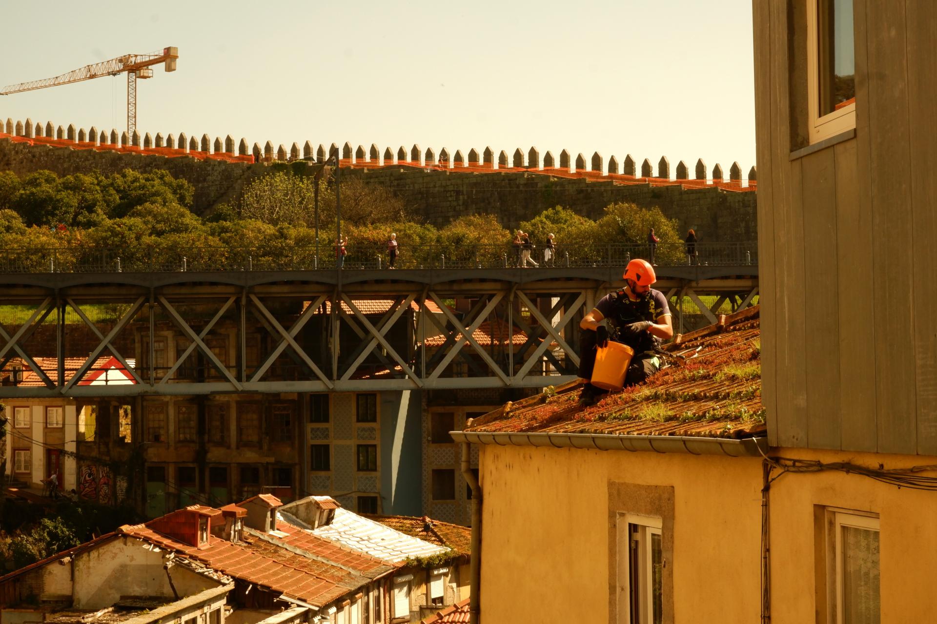 European Photography Awards Winner - Everyday when you're walking down the street 