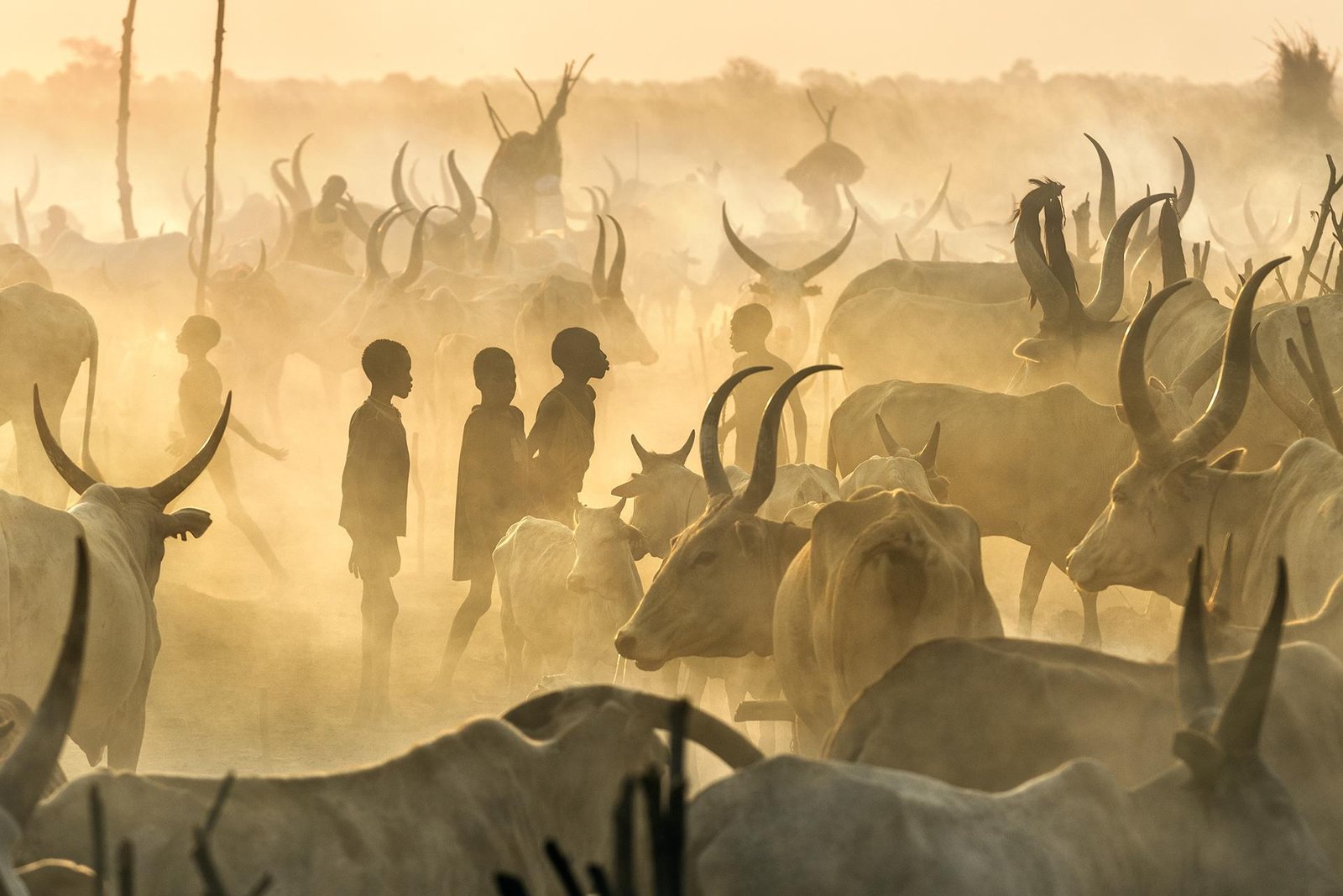 European Photography Awards Winner - Mundari Culture