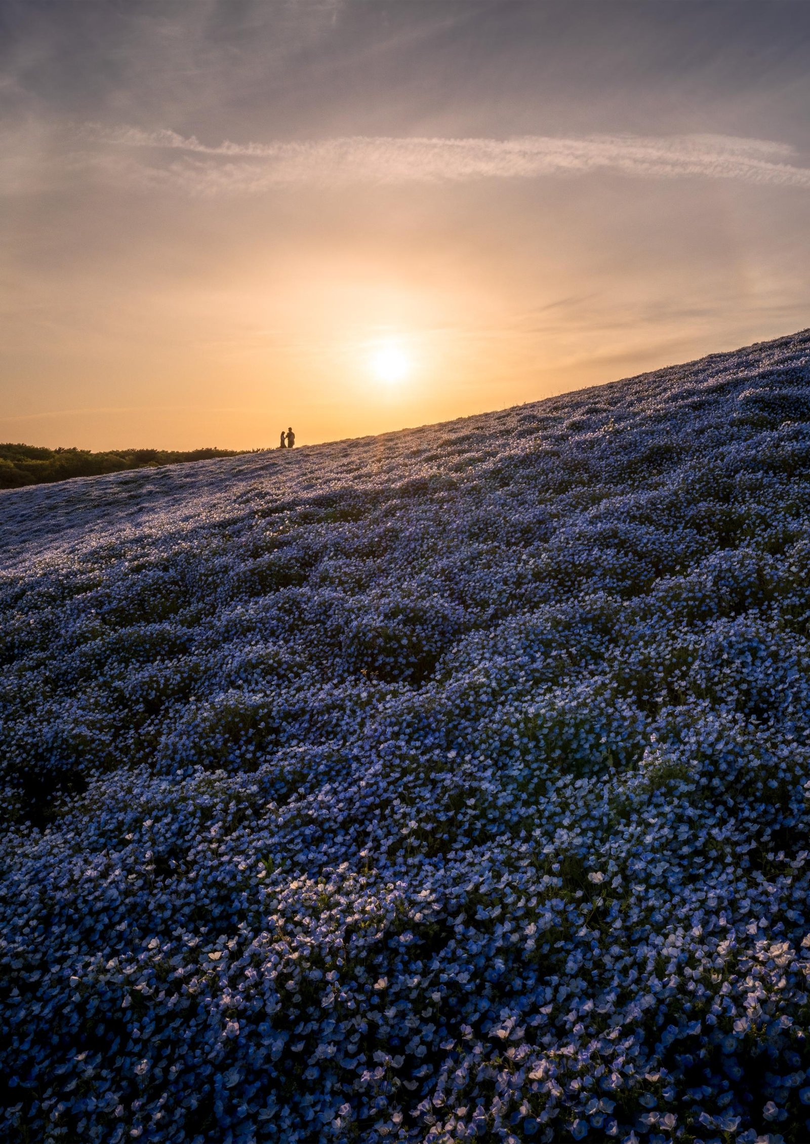European Photography Awards Winner - A Love Story on the Everlasting Hills