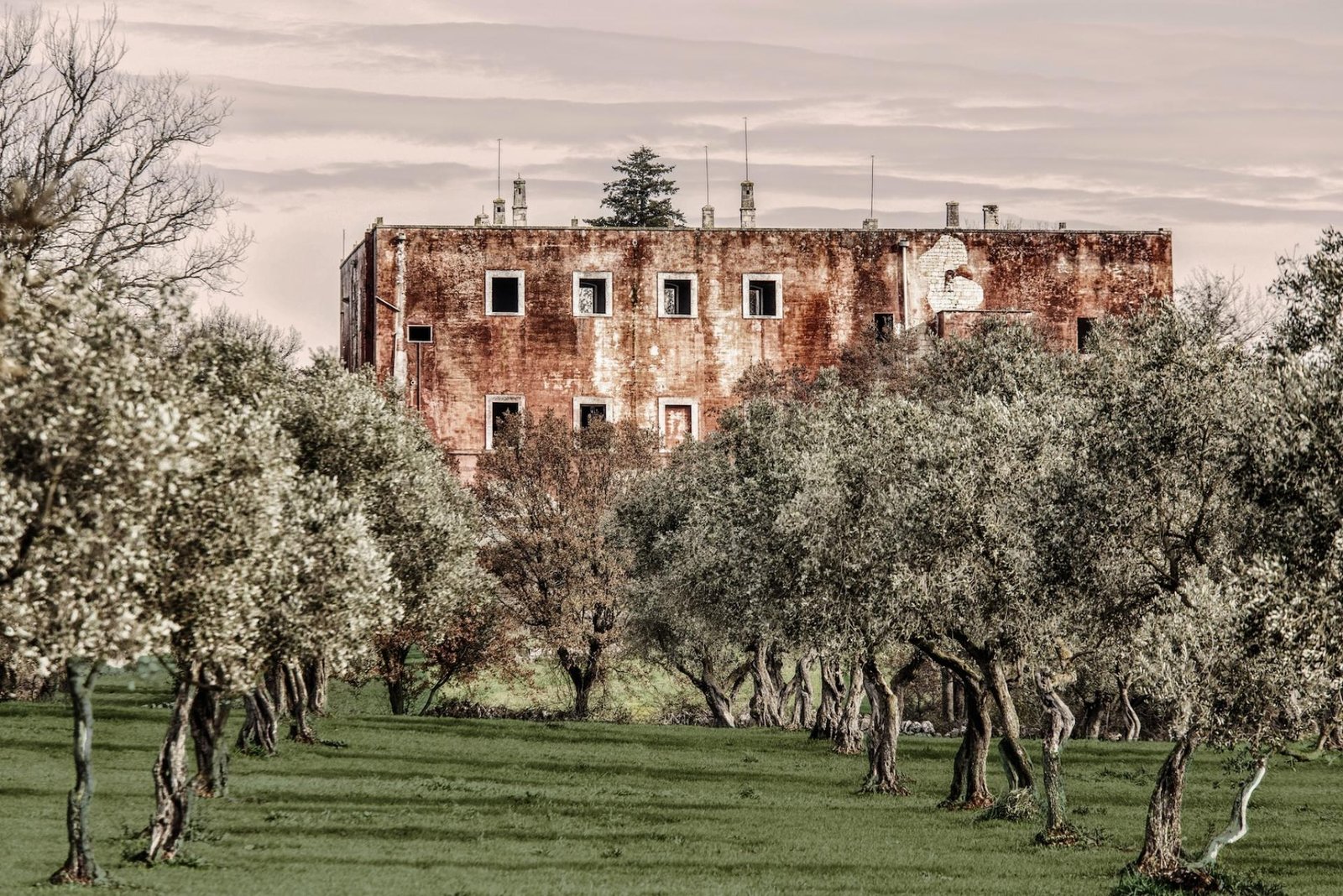 European Photography Awards Winner - Stone Tales
