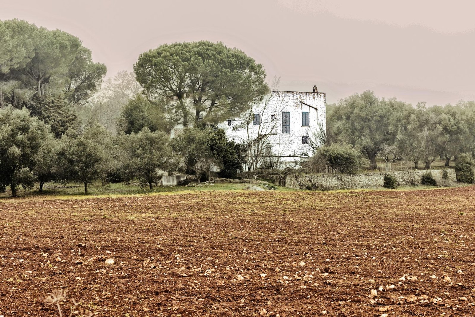 European Photography Awards Winner - Stone Tales