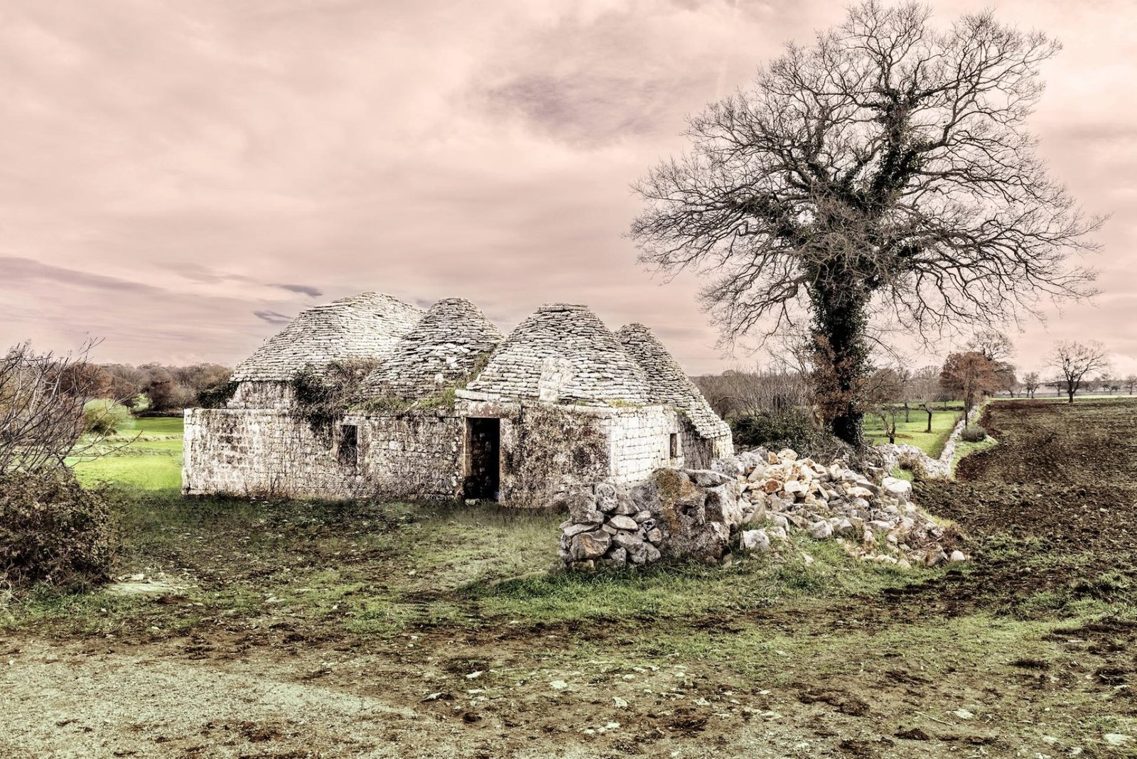 European Photography Awards Winner - Stone Tales